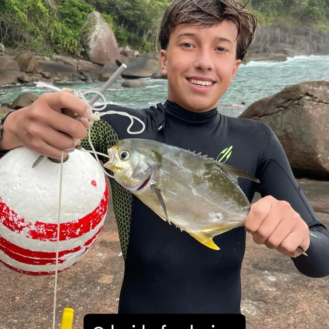 The most recent Permit catches on Fishbrain