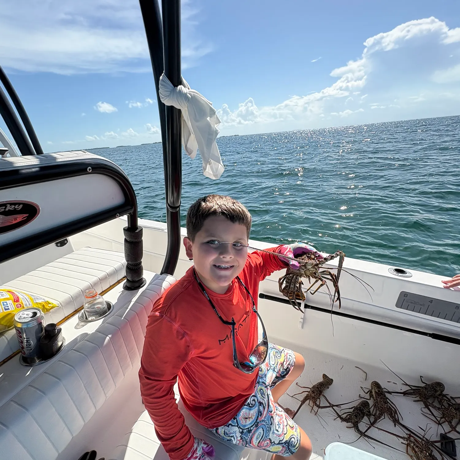 The most recent Spotted spiny lobster catches on Fishbrain