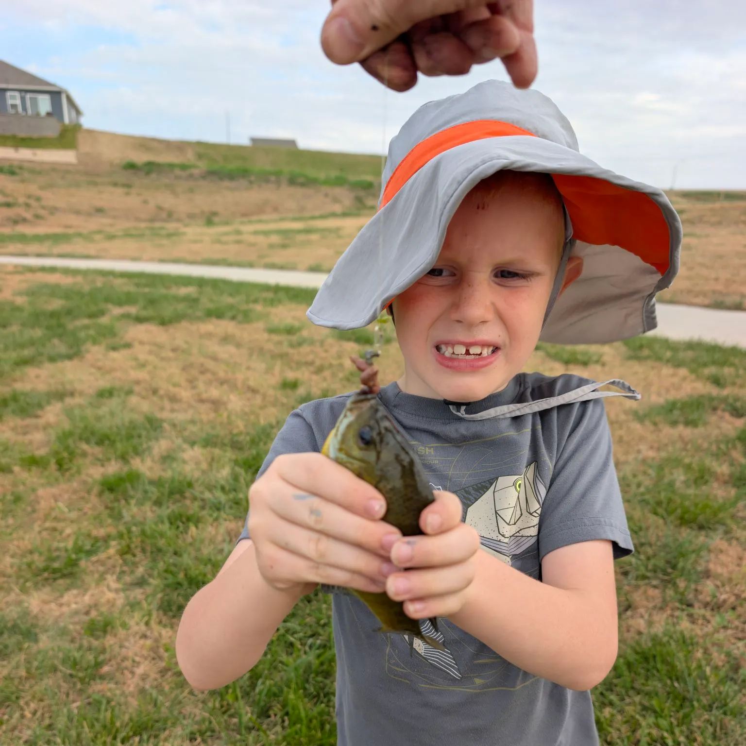 Bluegill caught on Fishbrain