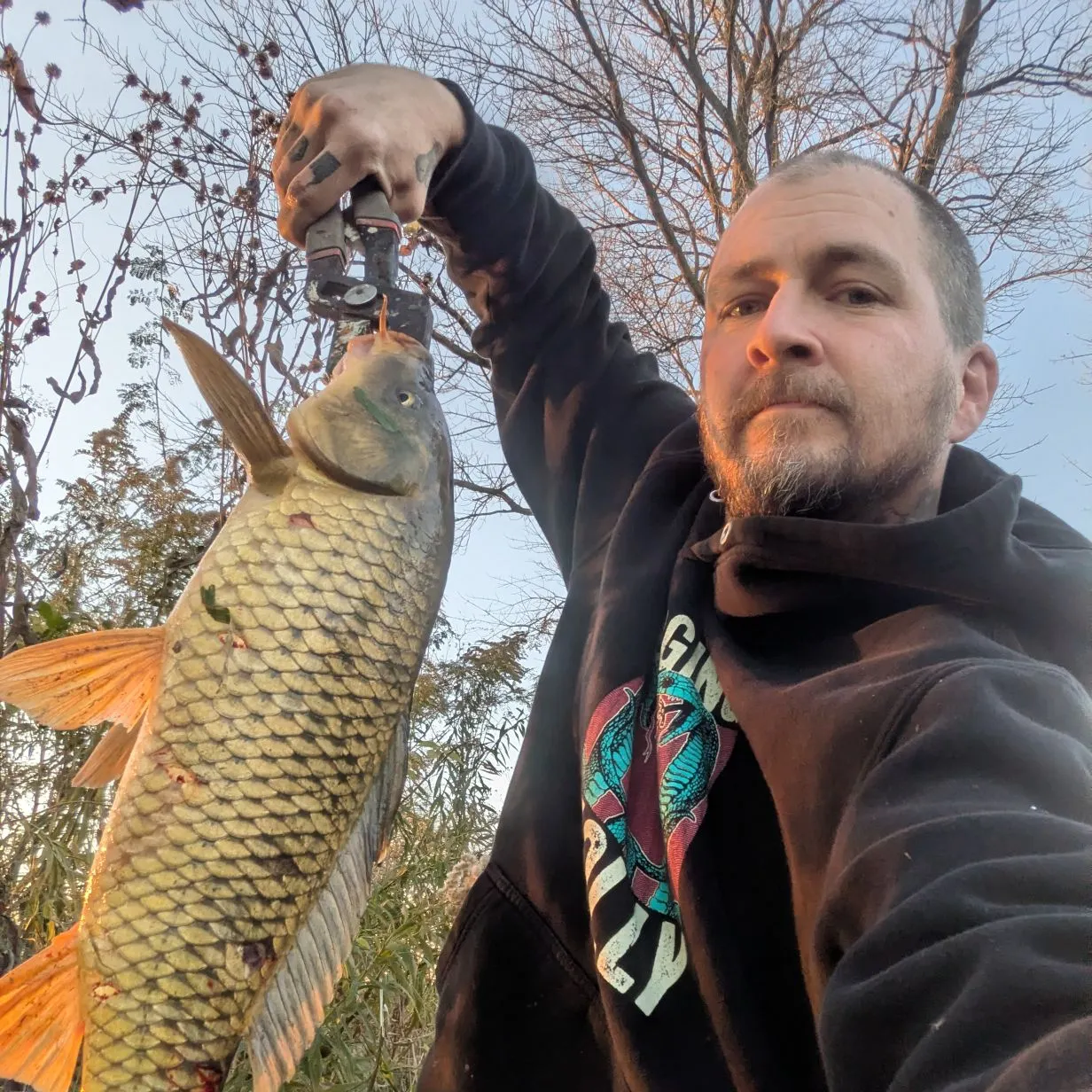 Common carp caught on Fishbrain