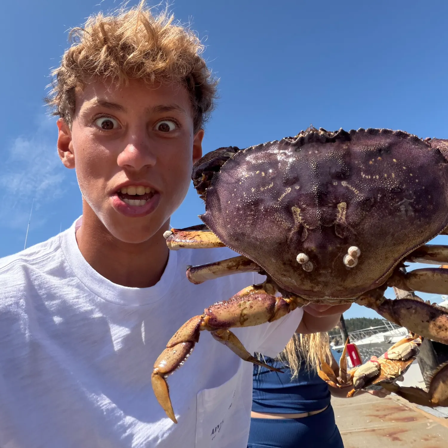 The most recent Pacific rock crab catches on Fishbrain