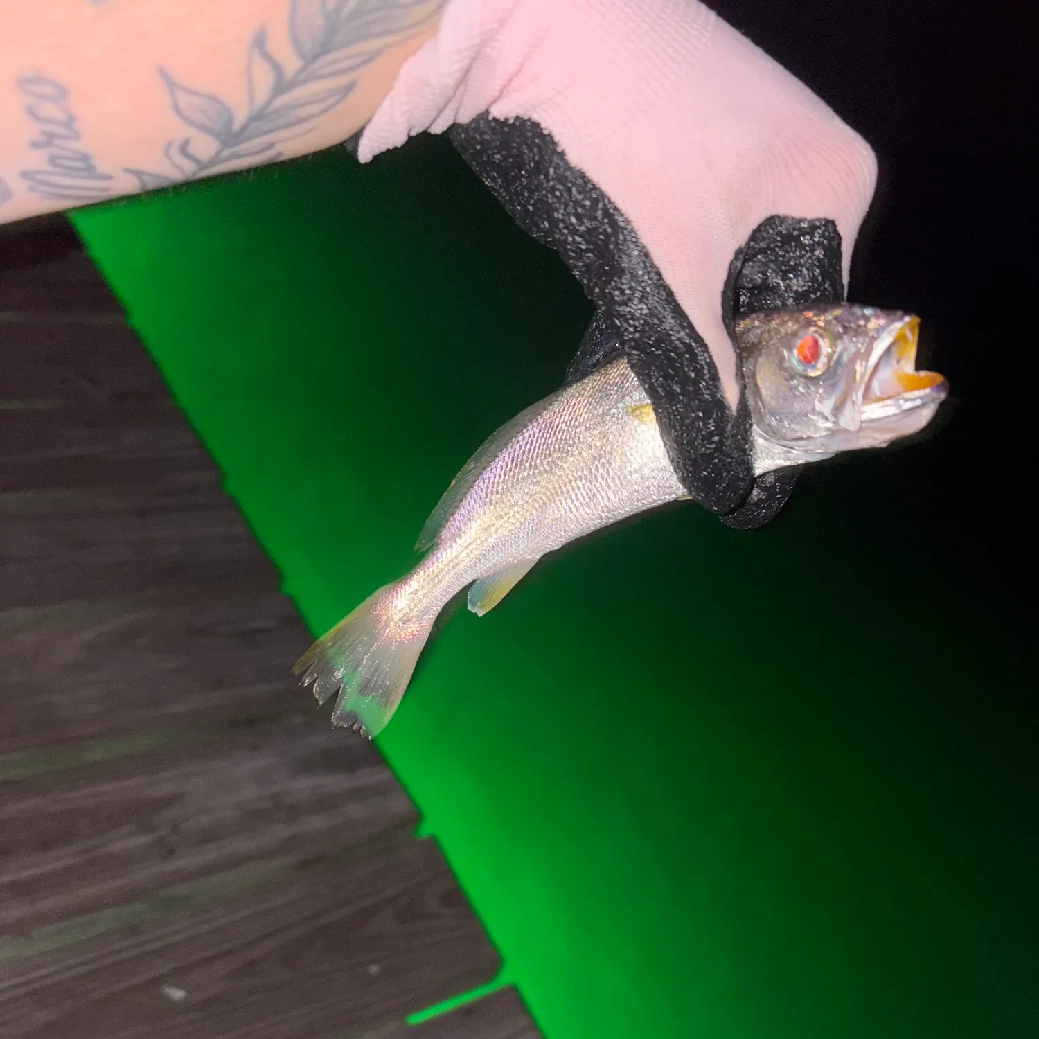 catch
