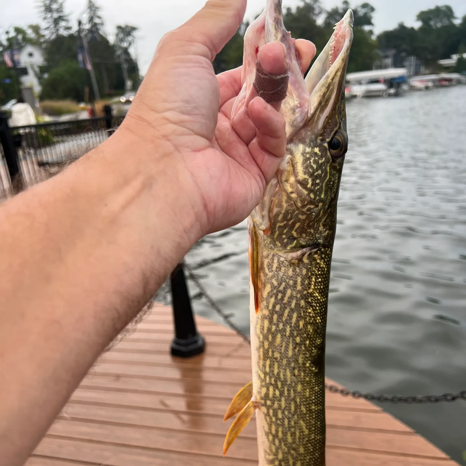catch