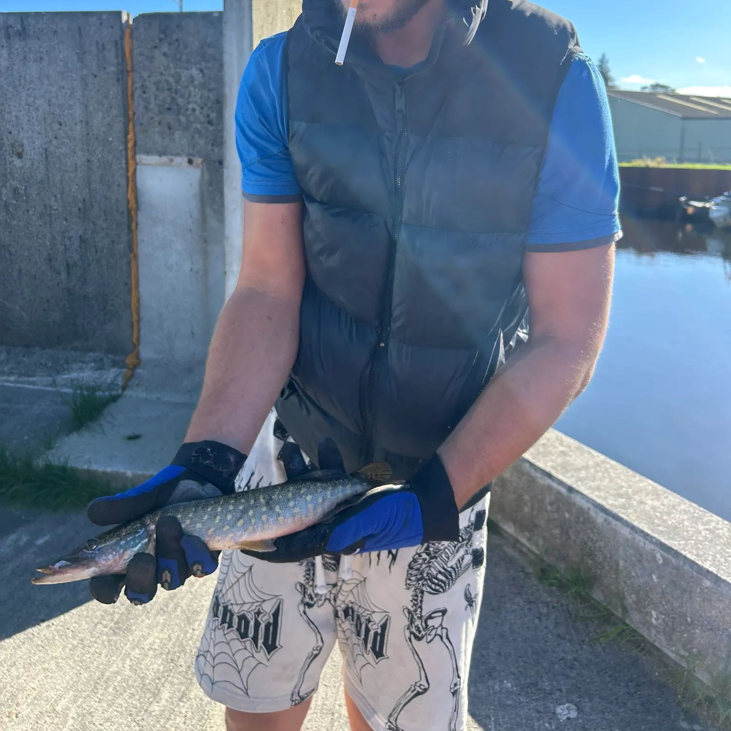 Northern pike caught on Fishbrain