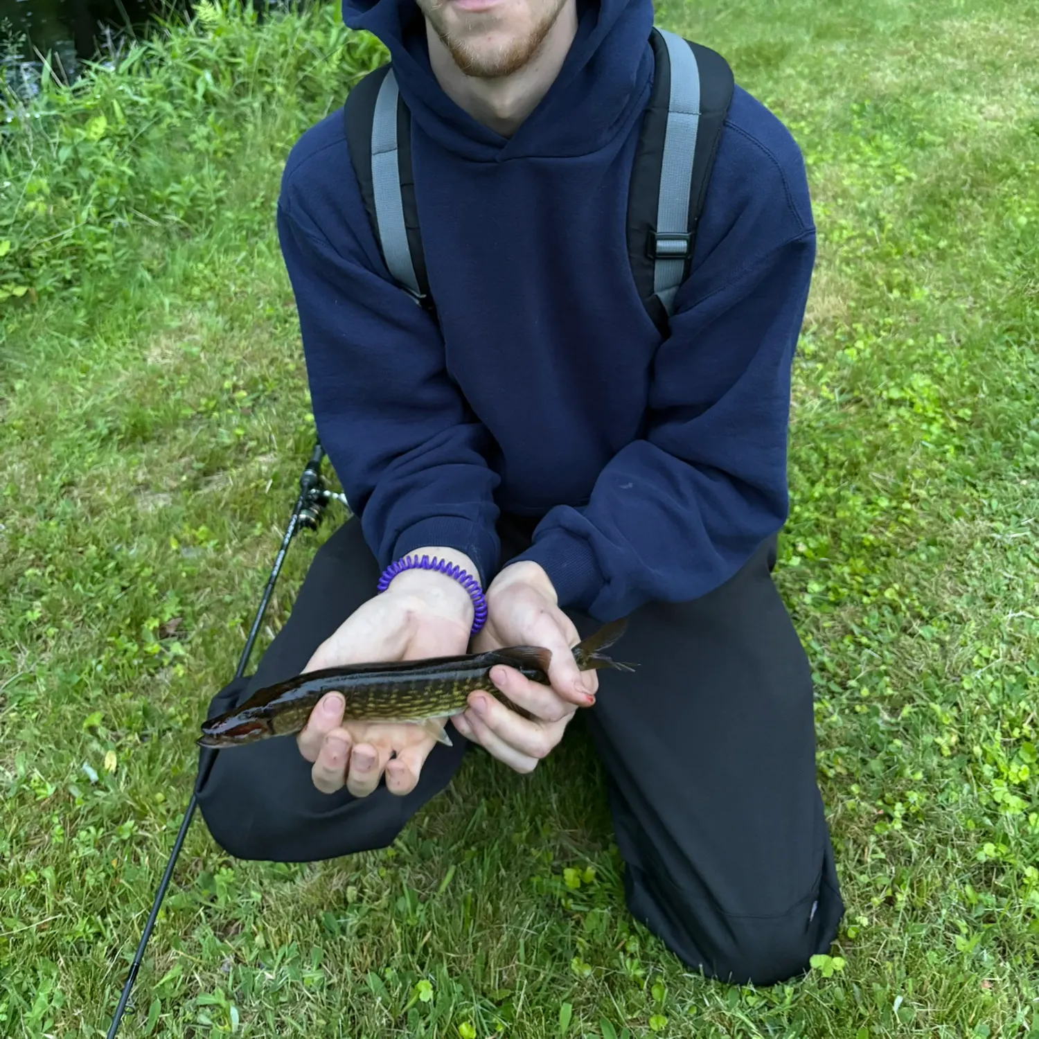 most liked catch image