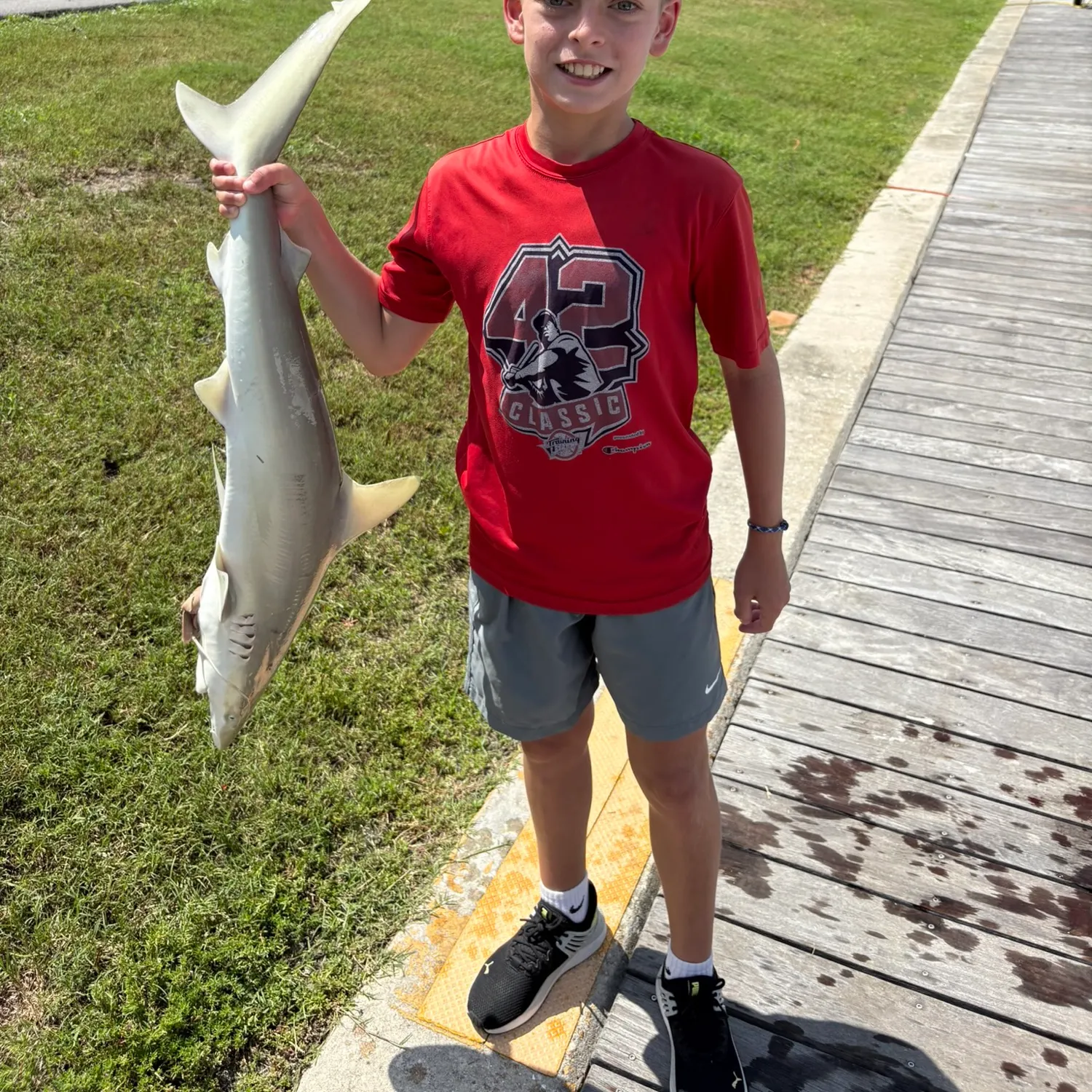 The most recent Silky shark catches on Fishbrain