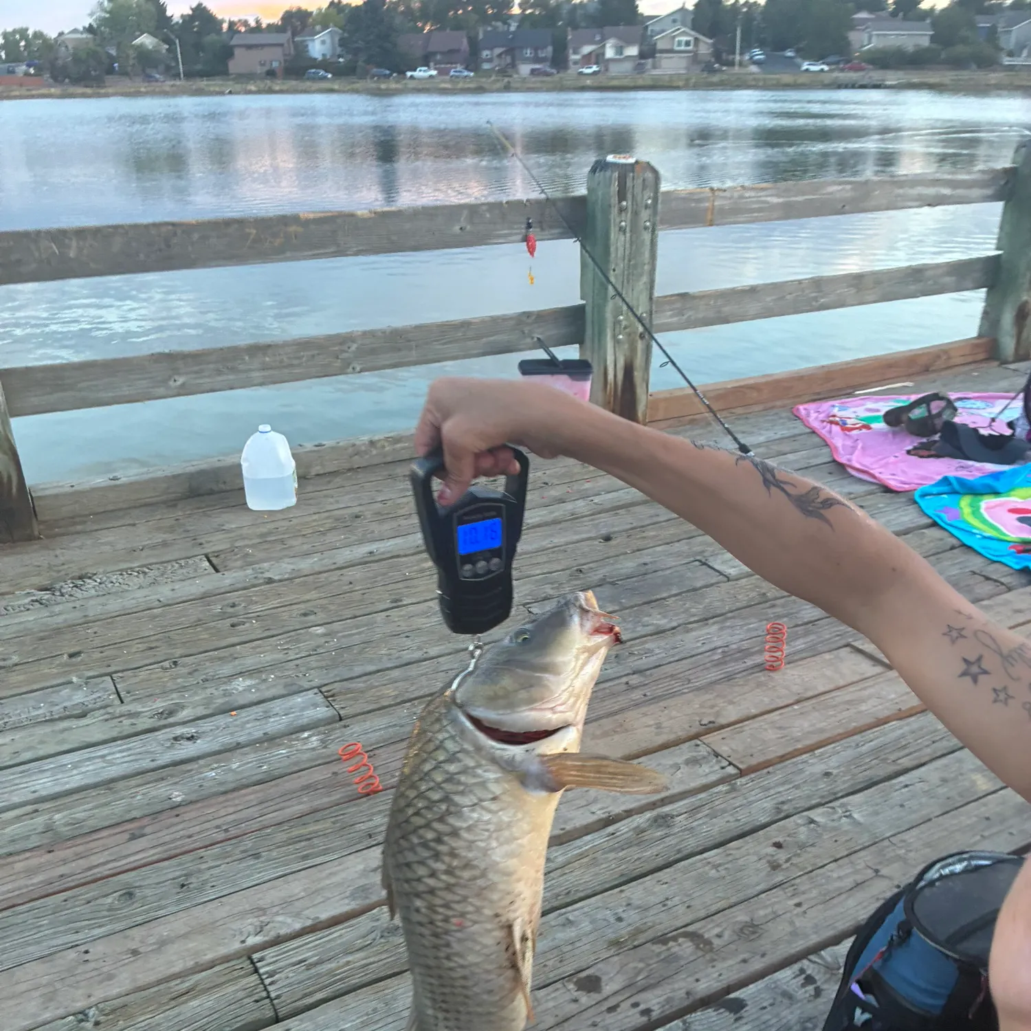 recently logged catches