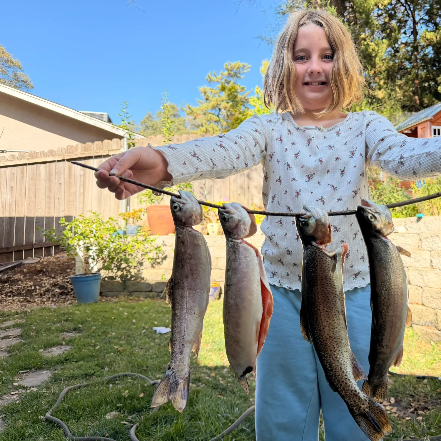 Rainbow trout caught on Fishbrain