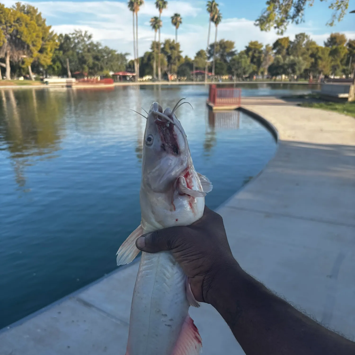 catch