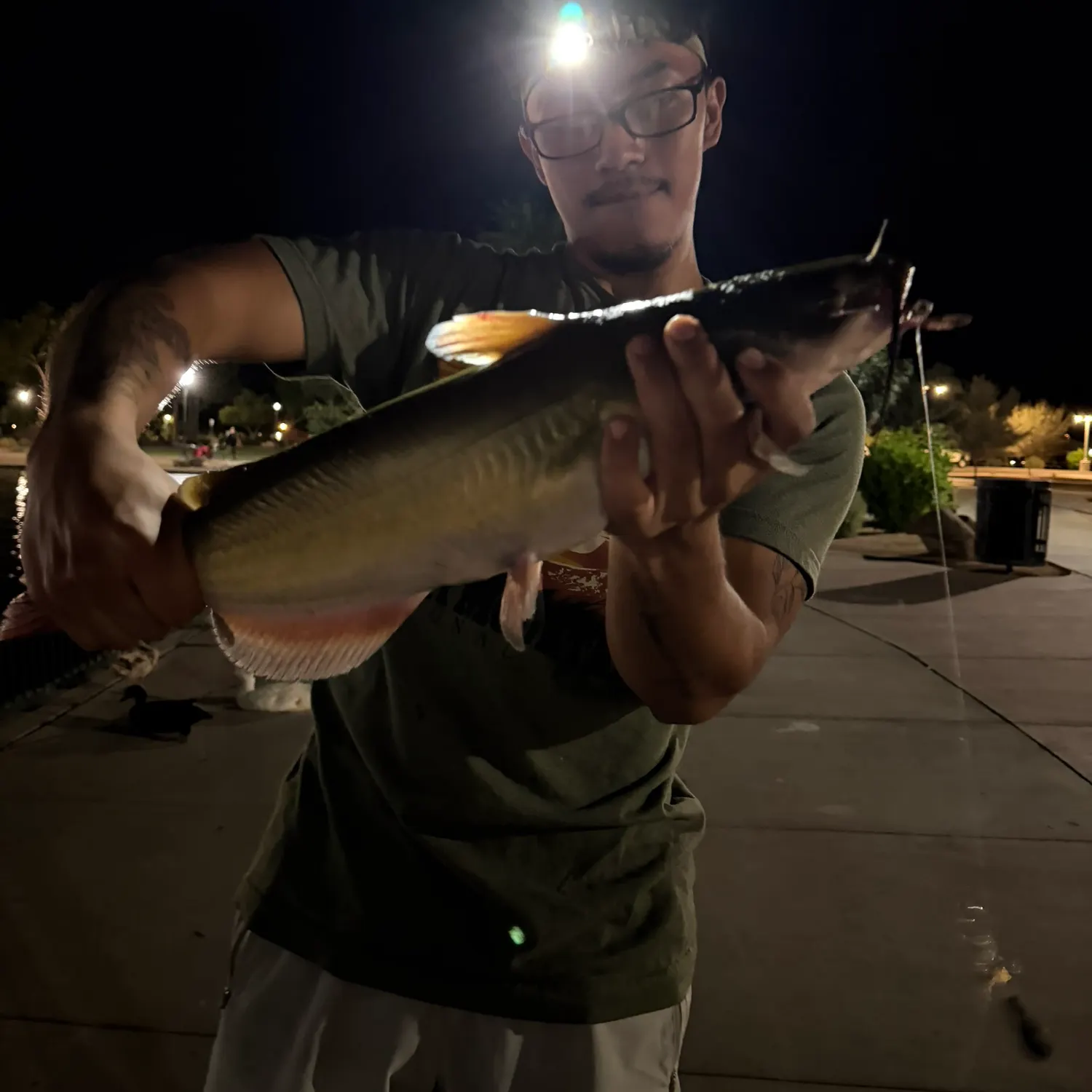 catch