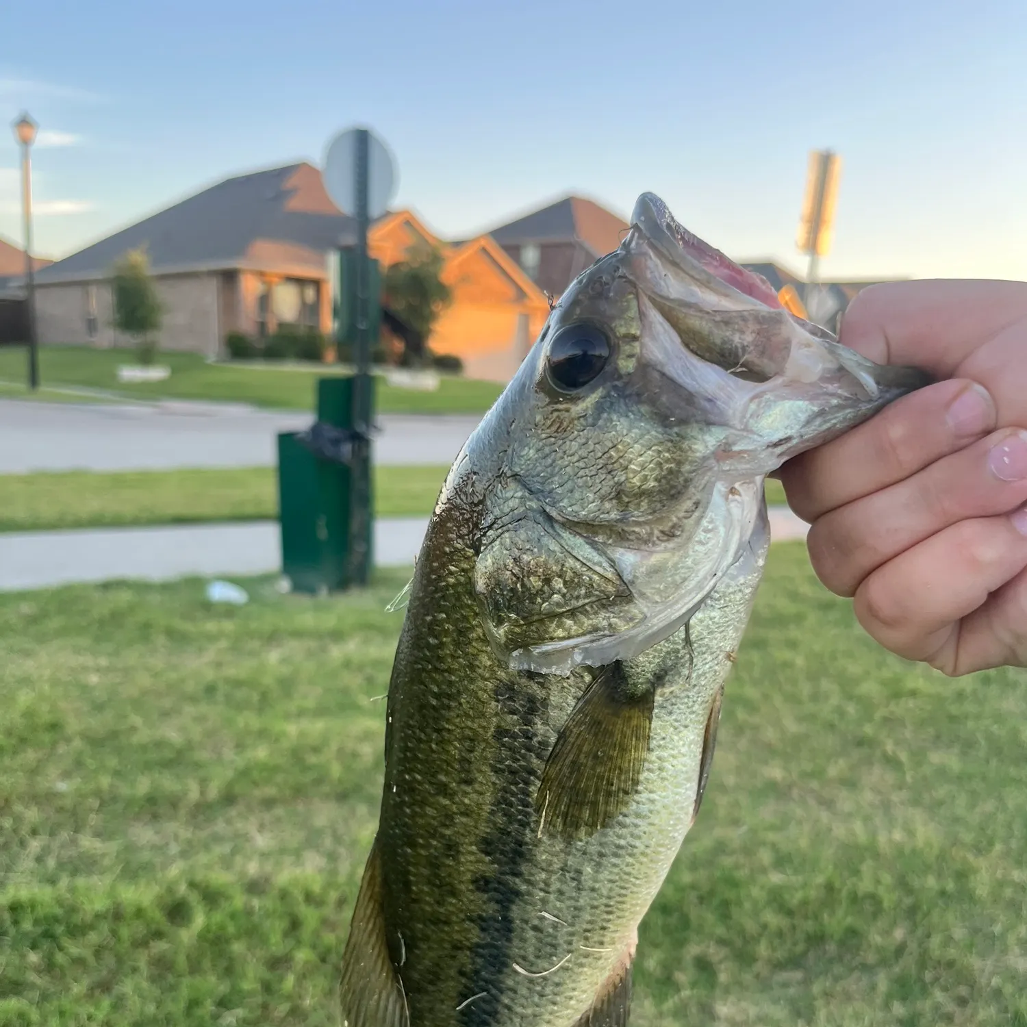 catch