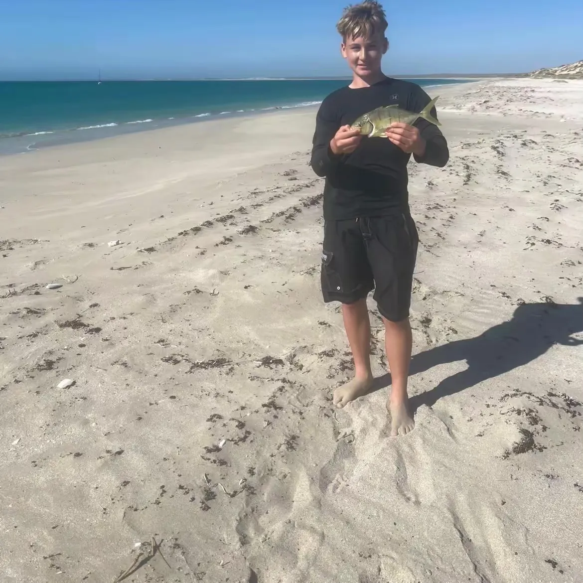 The most recent Golden trevally catches on Fishbrain