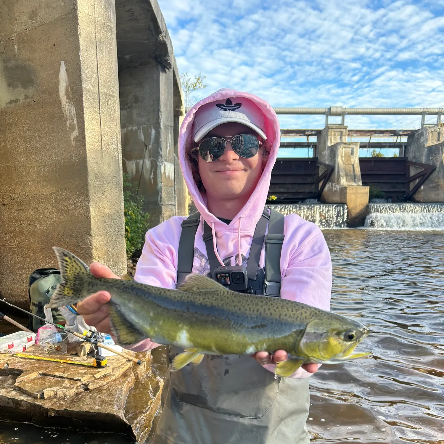 Pink salmon caught on Fishbrain