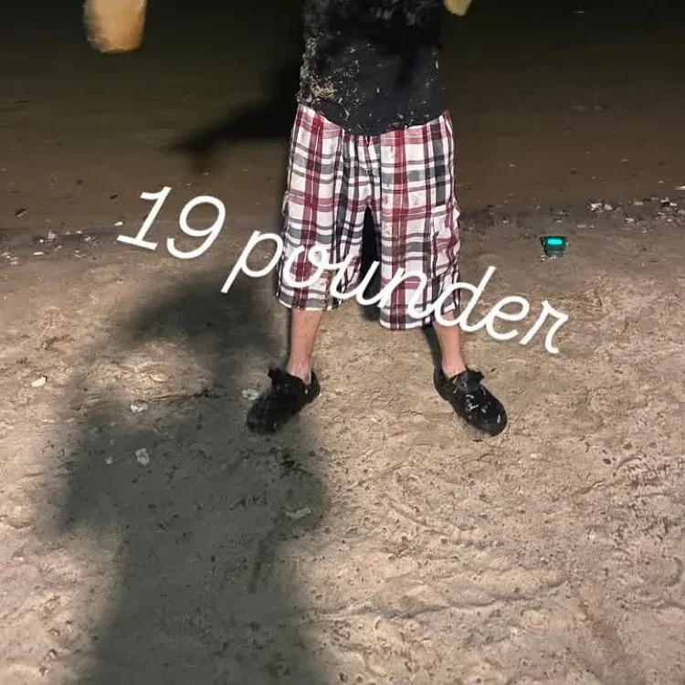 Common carp caught on Fishbrain