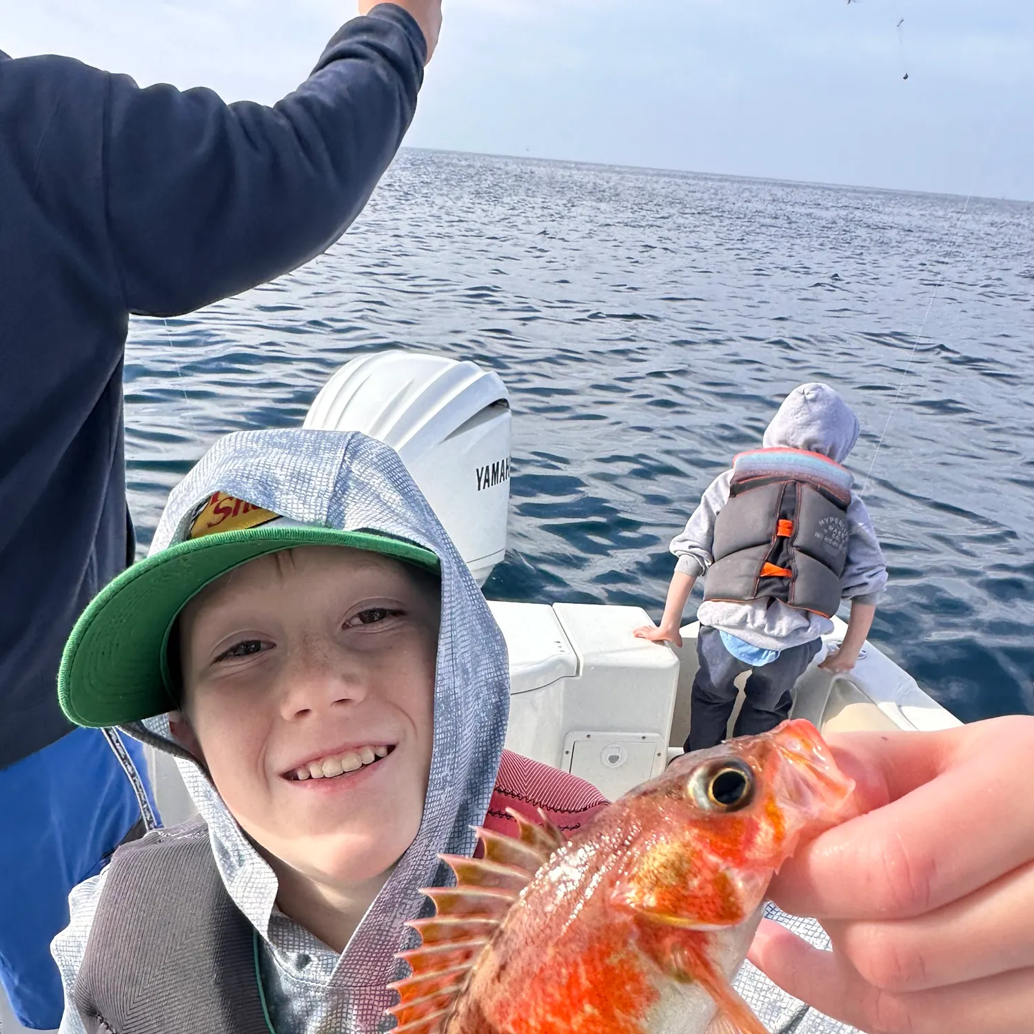 Vermilion rockfish caught on Fishbrain