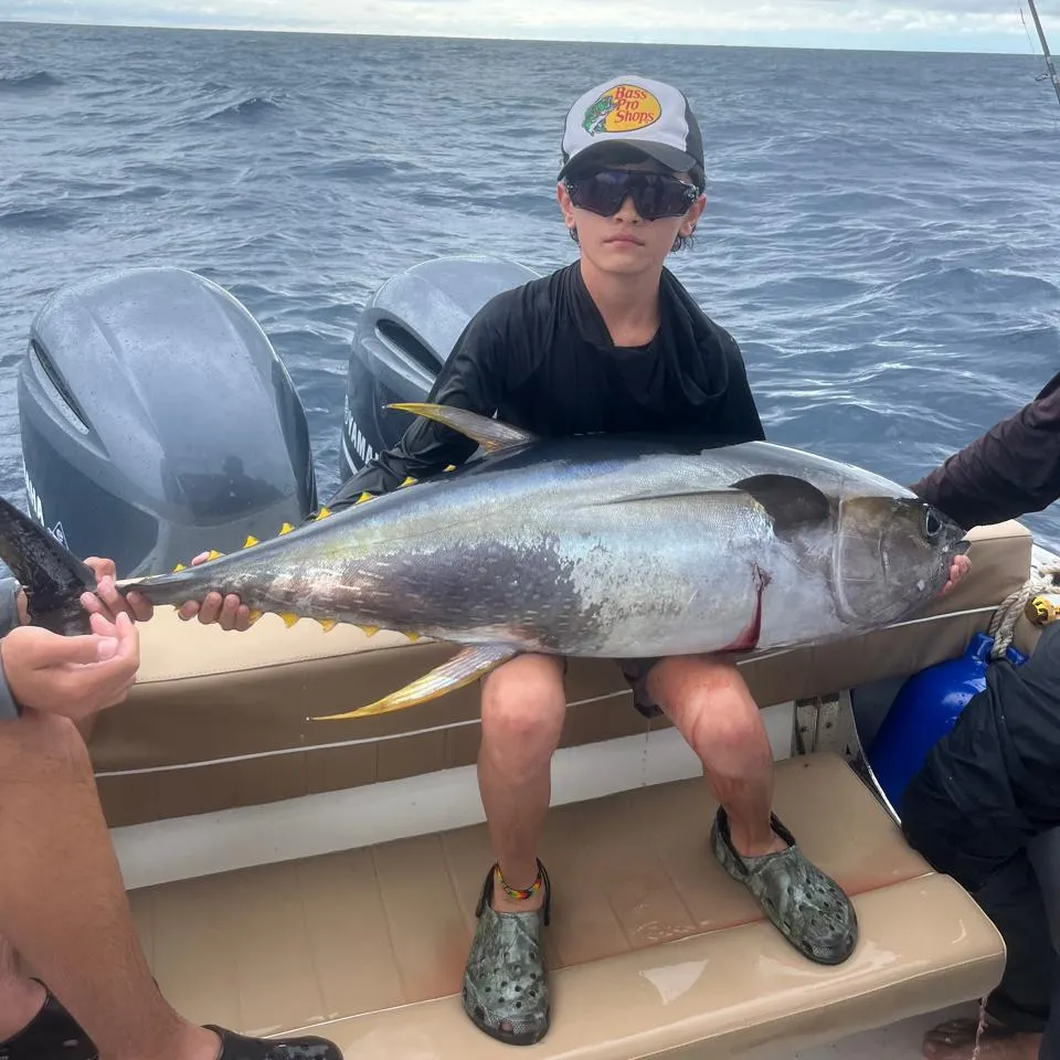 The most recent Yellowfin tuna catches on Fishbrain