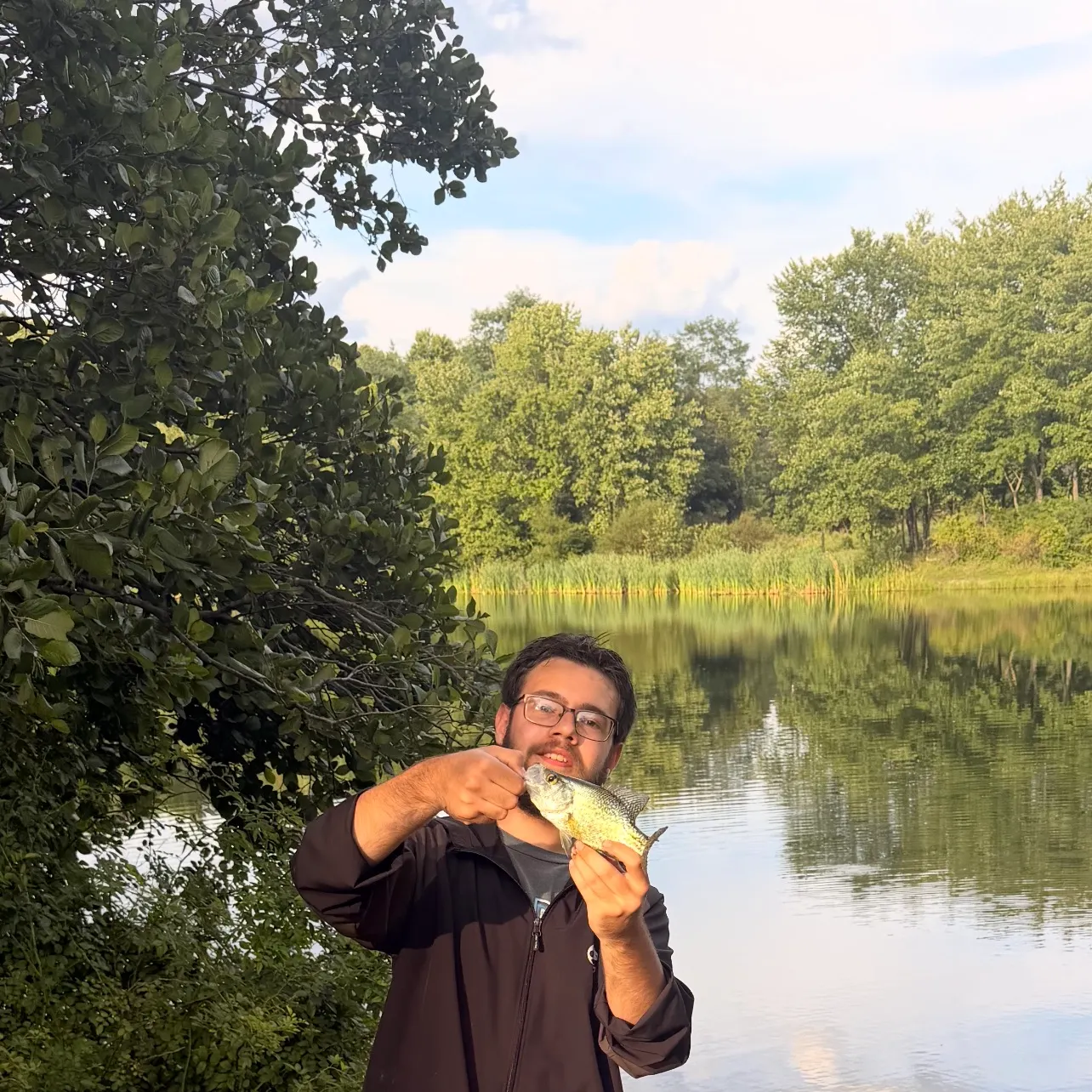 Black crappie caught on Fishbrain