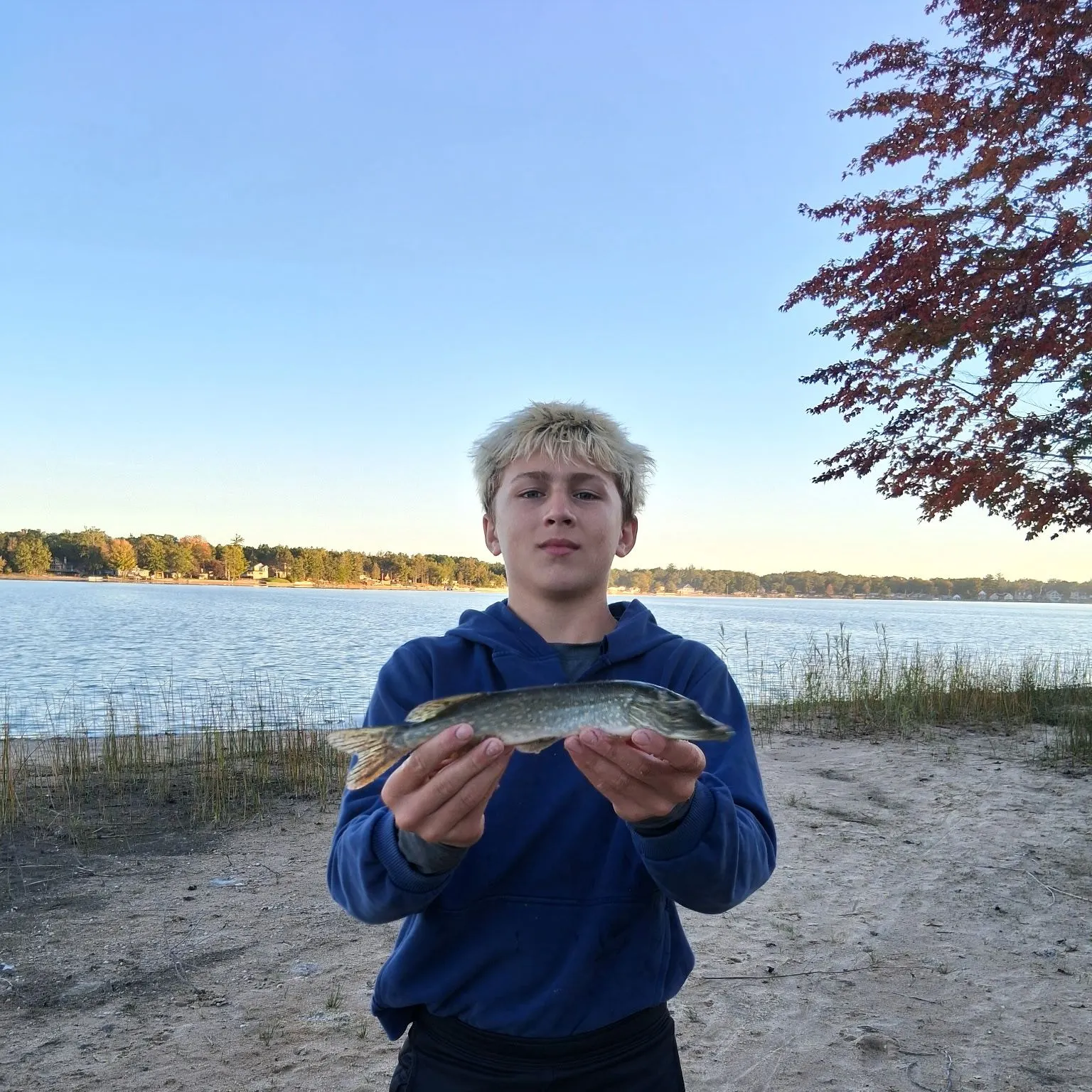 Northern pike caught on Fishbrain