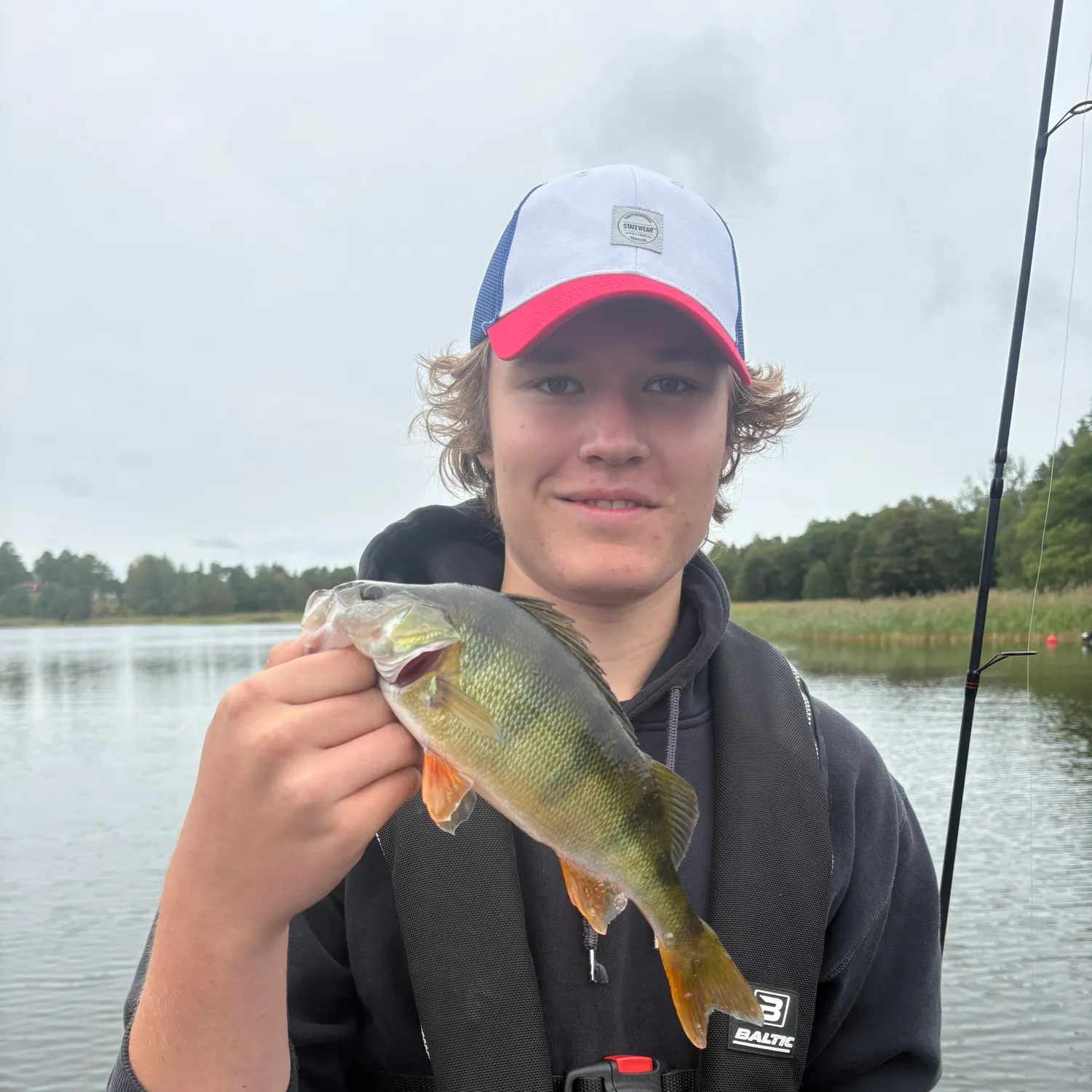 European perch caught on Fishbrain
