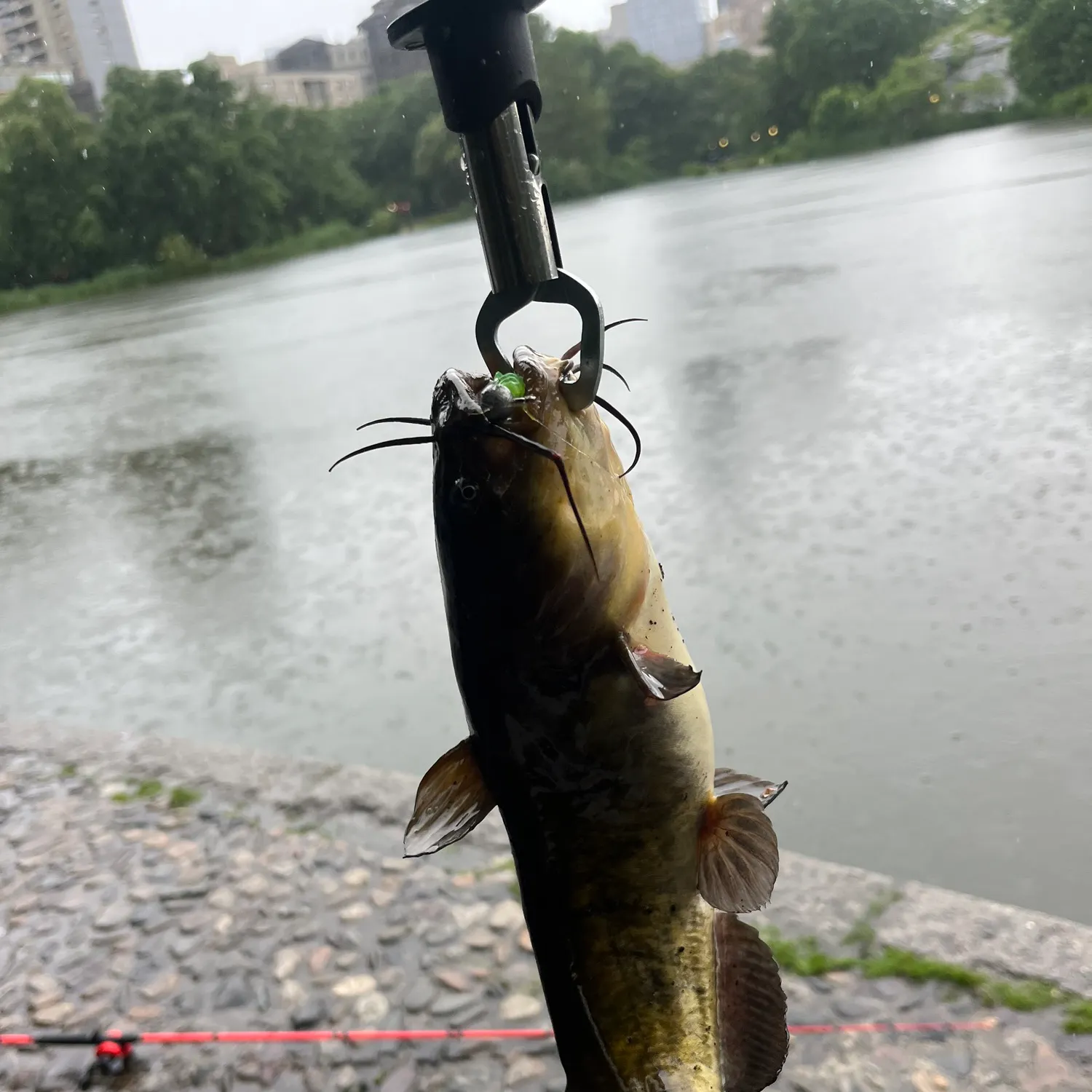 catch