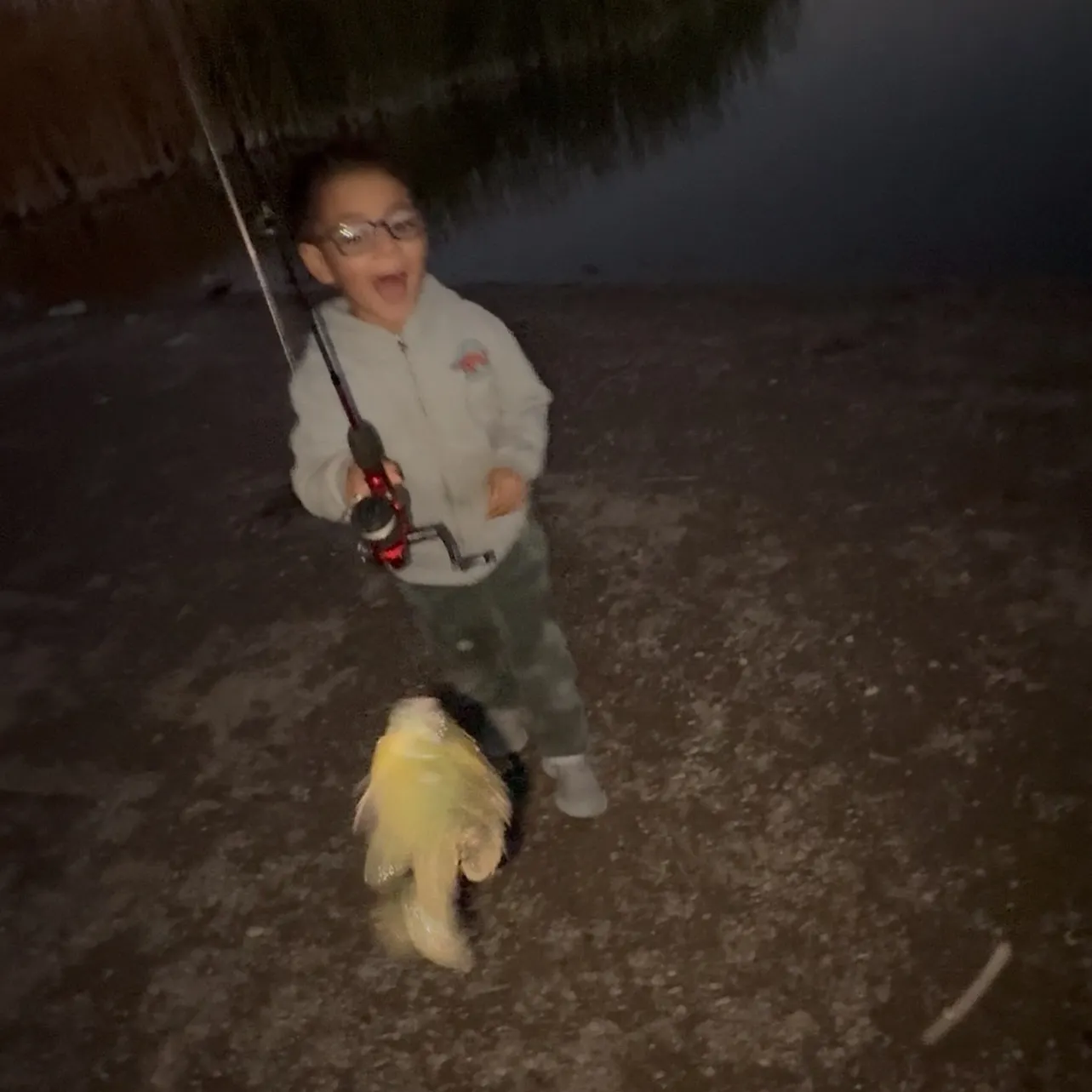 The most recent Bluegill catches on Fishbrain