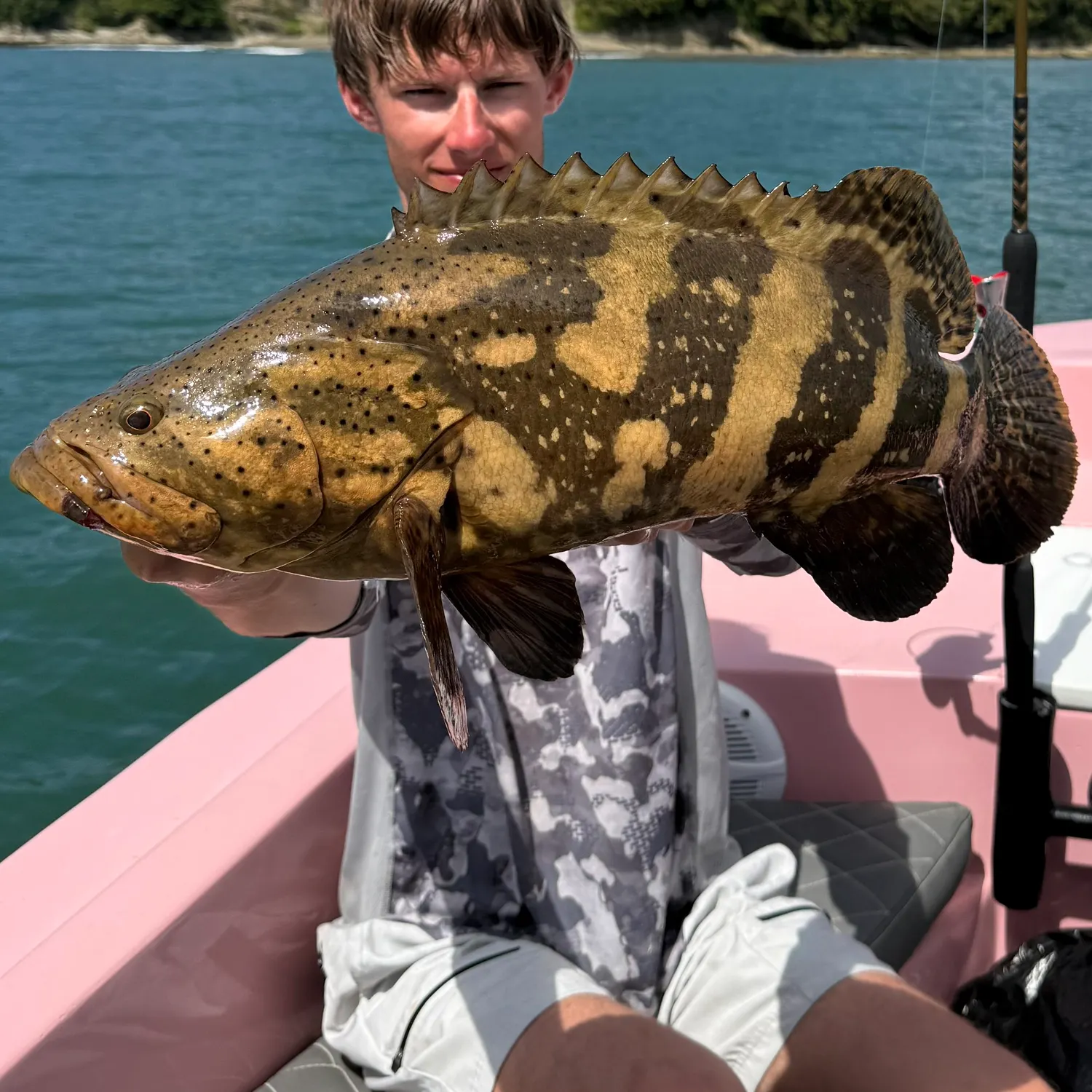 The most recent Pacific goliath grouper catches on Fishbrain