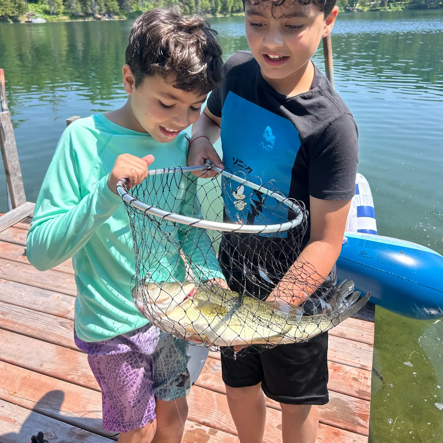 Smallmouth bass caught on Fishbrain