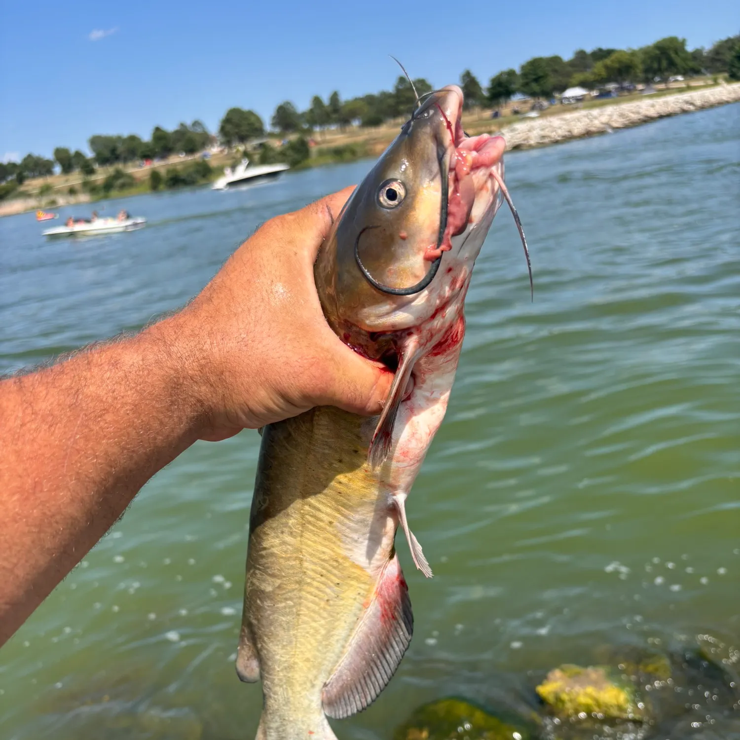 catch