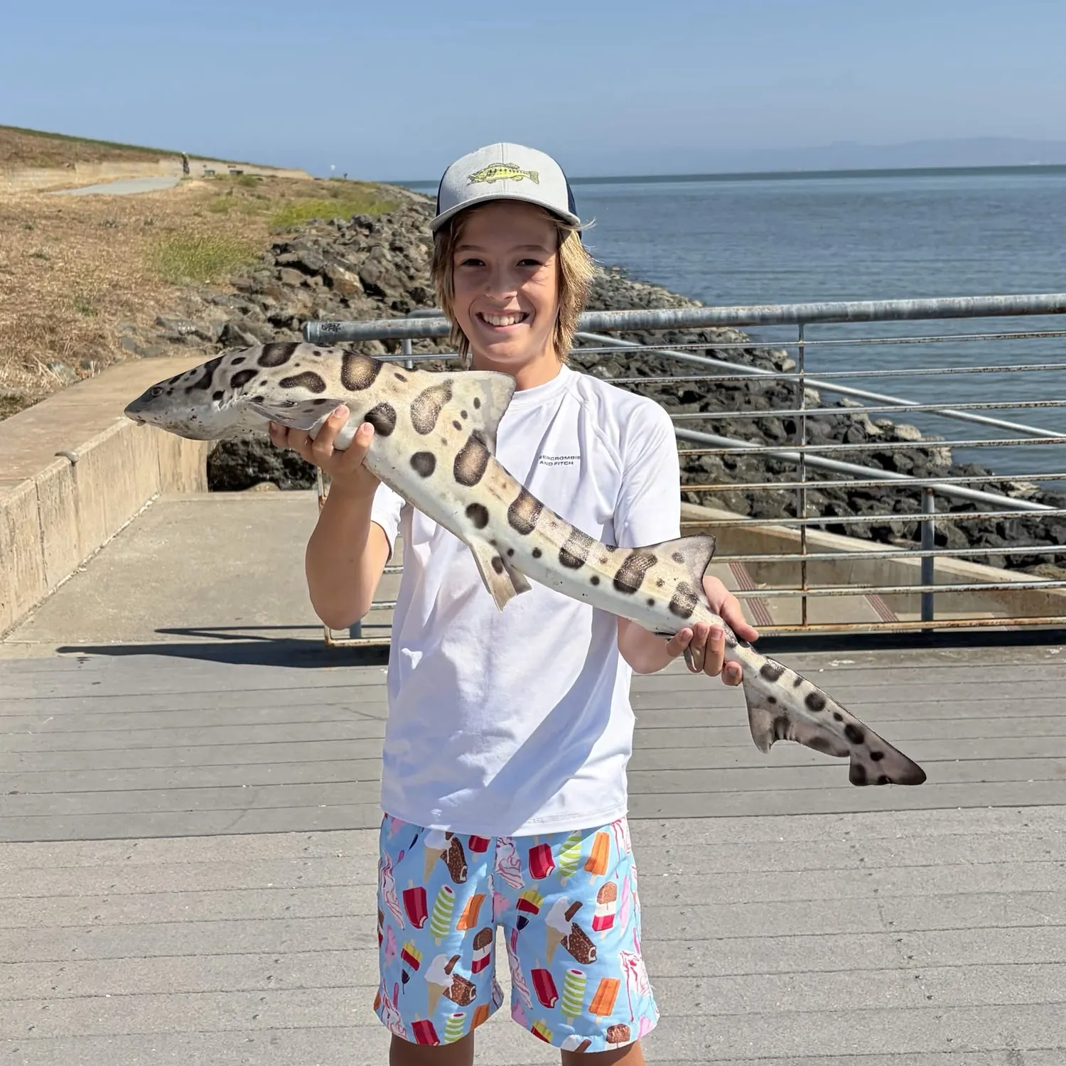 The most recent Leopard shark catches on Fishbrain
