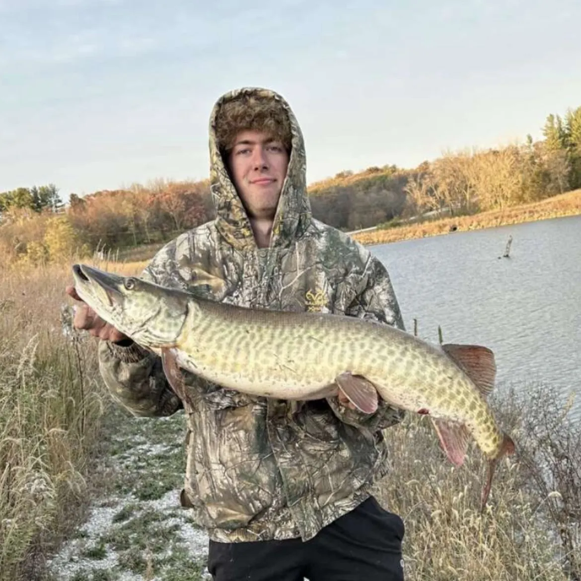 The most recent Muskellunge catches on Fishbrain