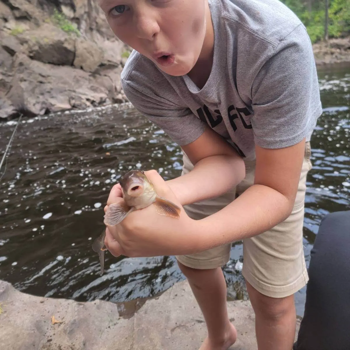 White sucker caught on Fishbrain