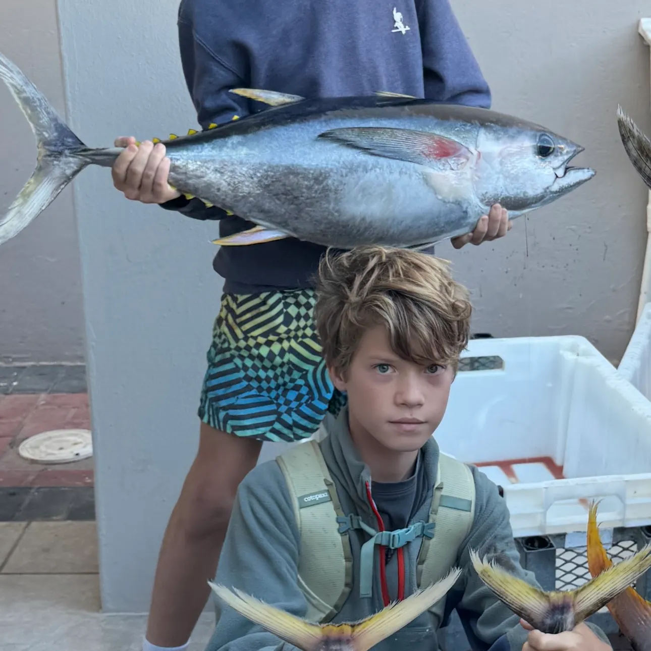 The most recent Yellowfin tuna catches on Fishbrain