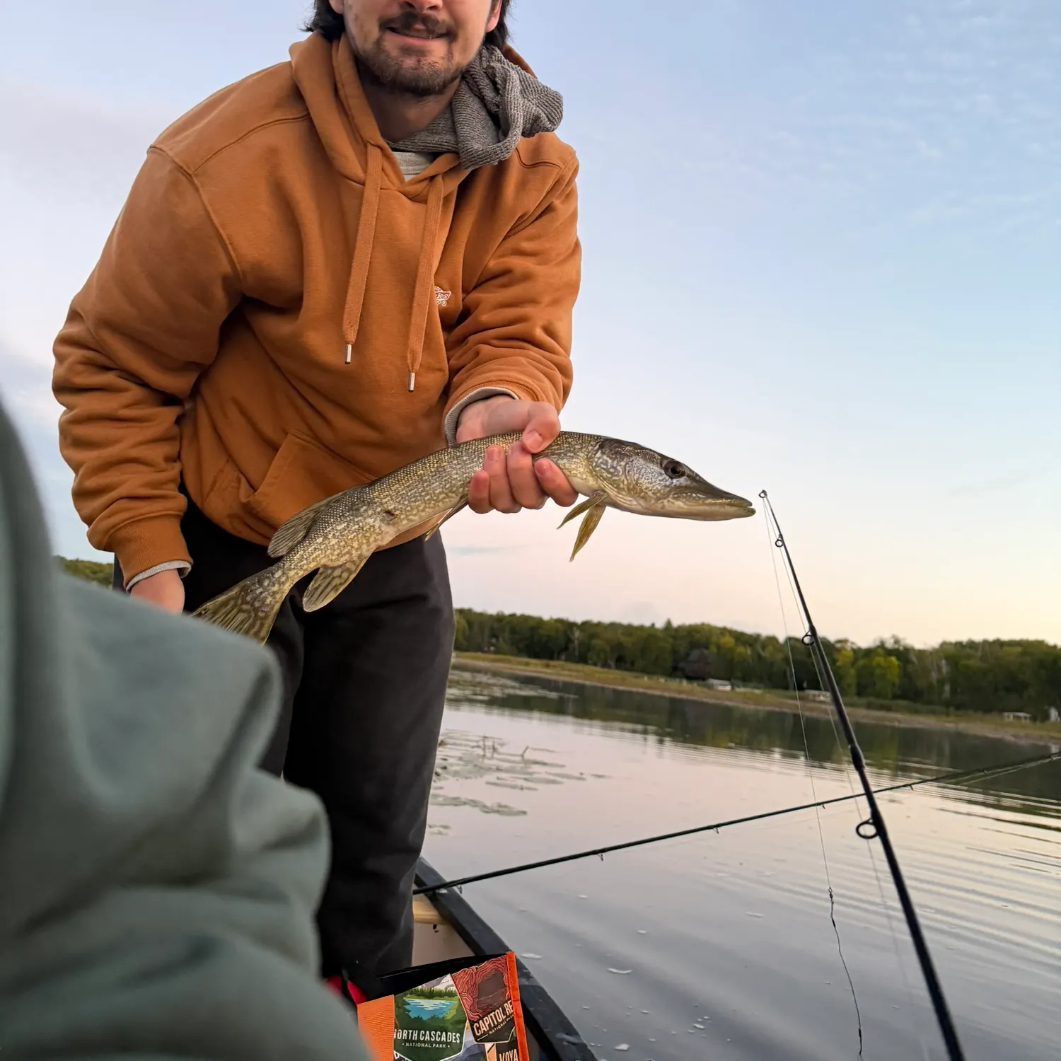 Northern pike caught on Fishbrain