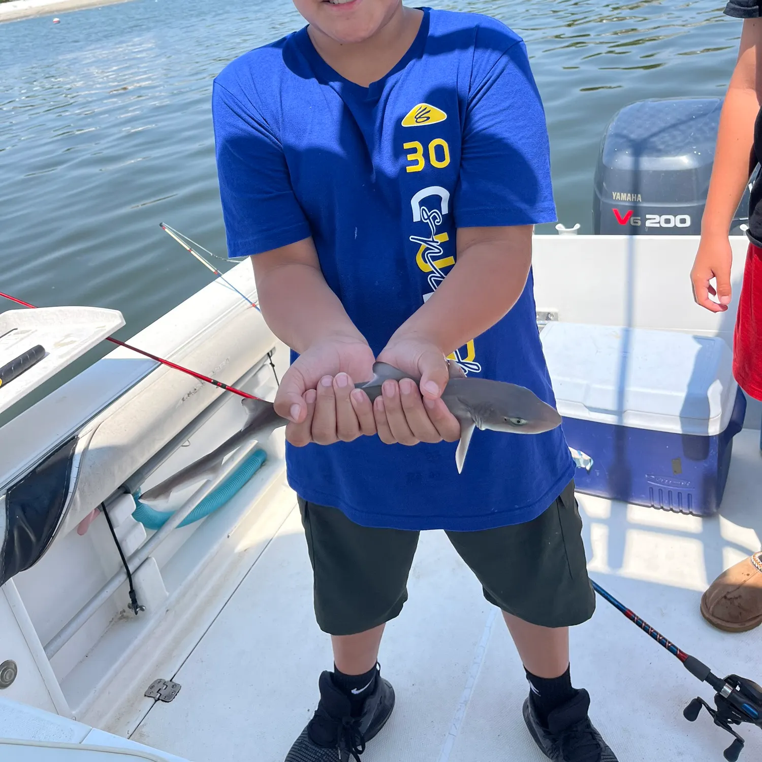 The most recent Tawny nurse shark catches on Fishbrain