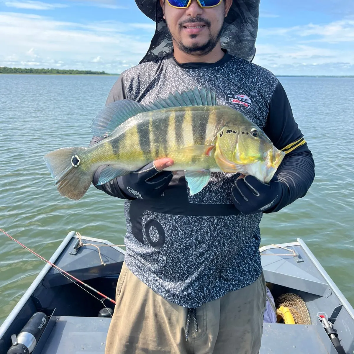 The most popular recent Blue peacock bass catch on Fishbrain