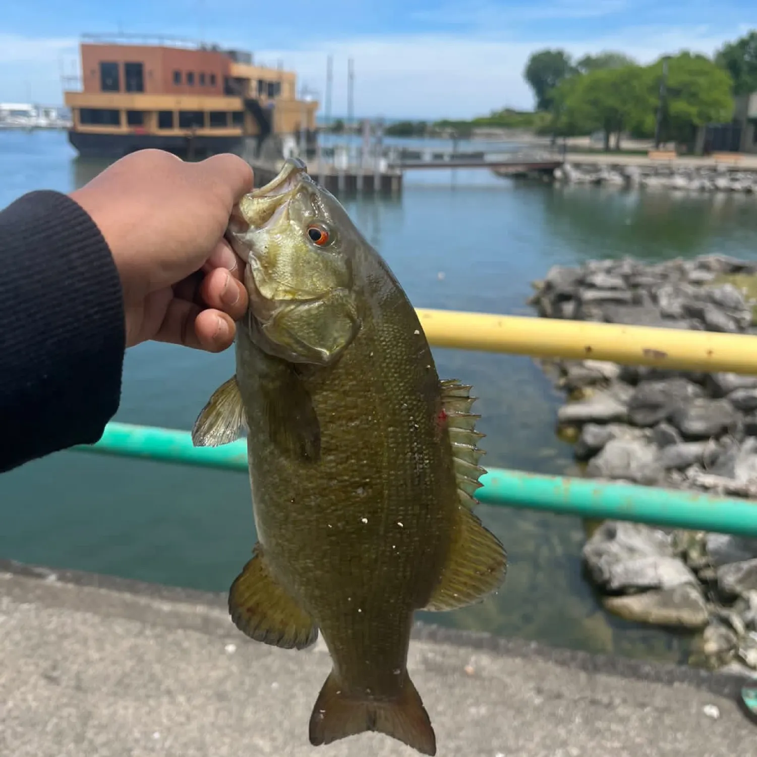 catch