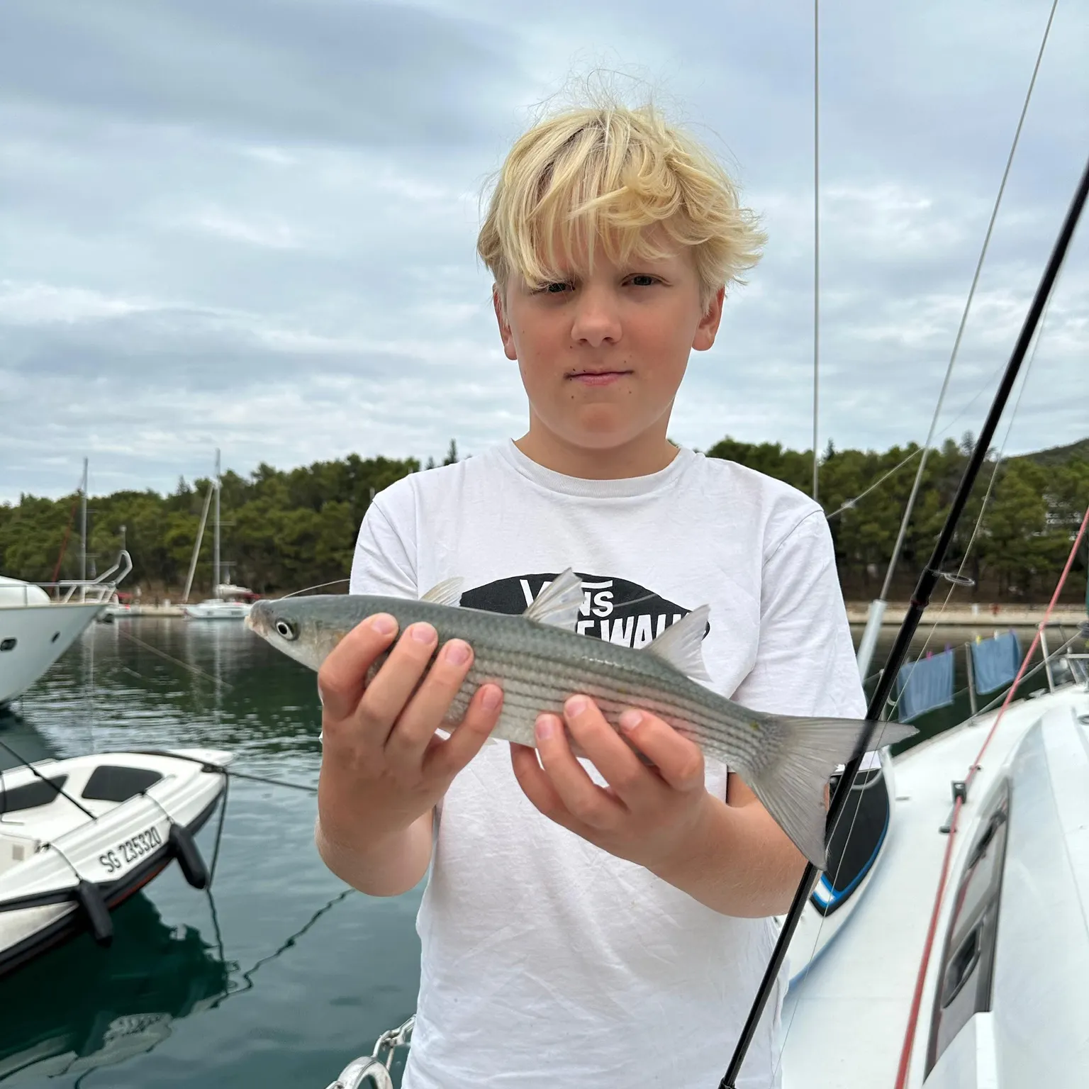 Bluespot mullet caught on Fishbrain