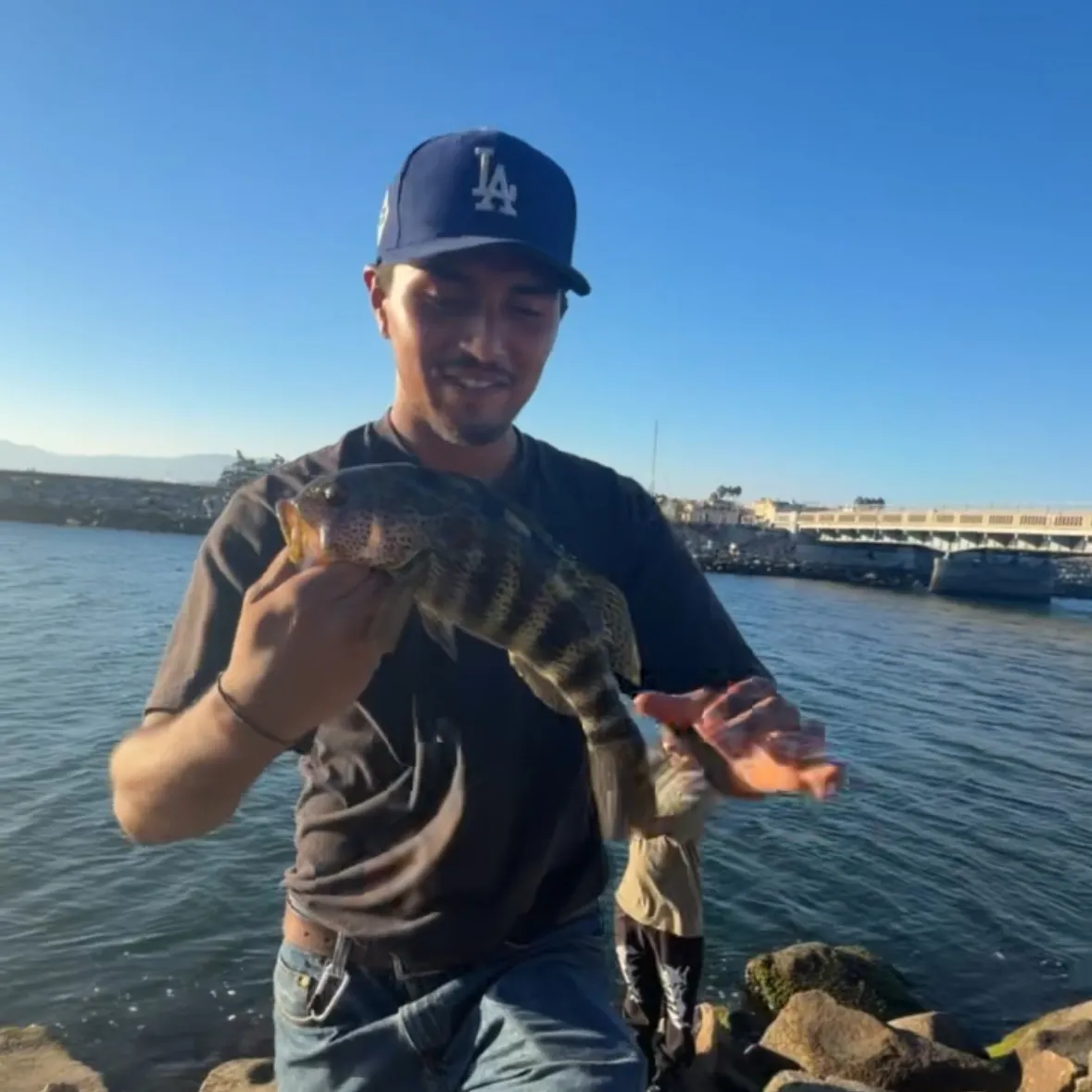 Spotted sand bass caught on Fishbrain