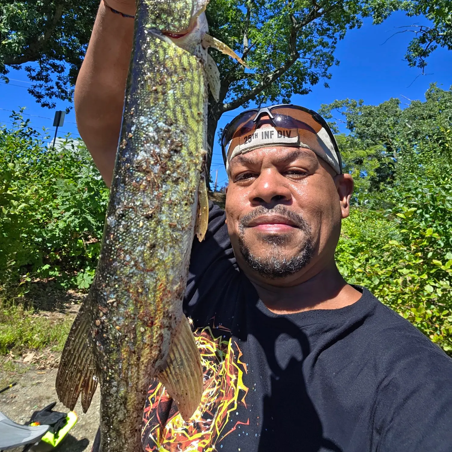 Chain pickerel caught on Fishbrain