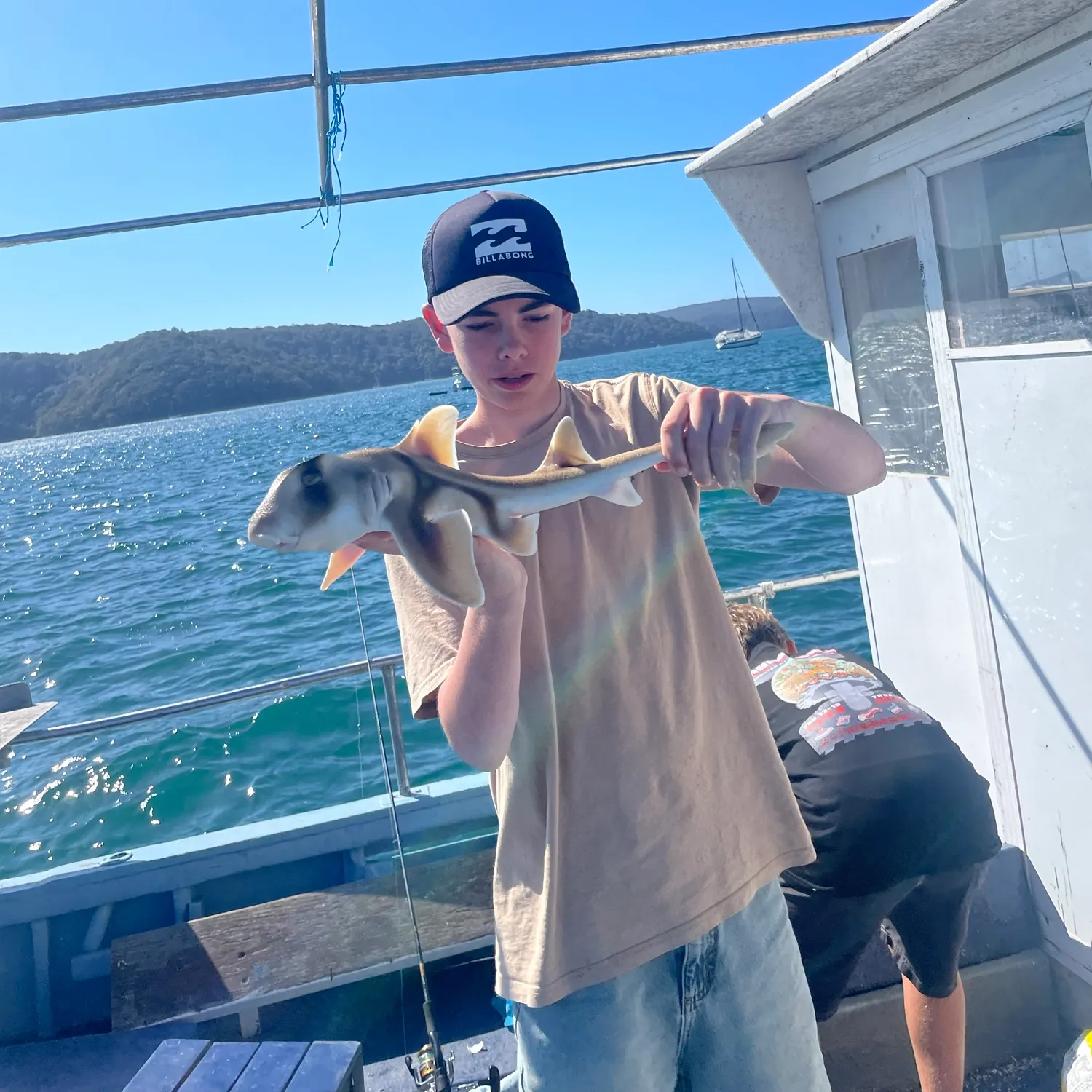 The most recent Port Jackson shark catches on Fishbrain