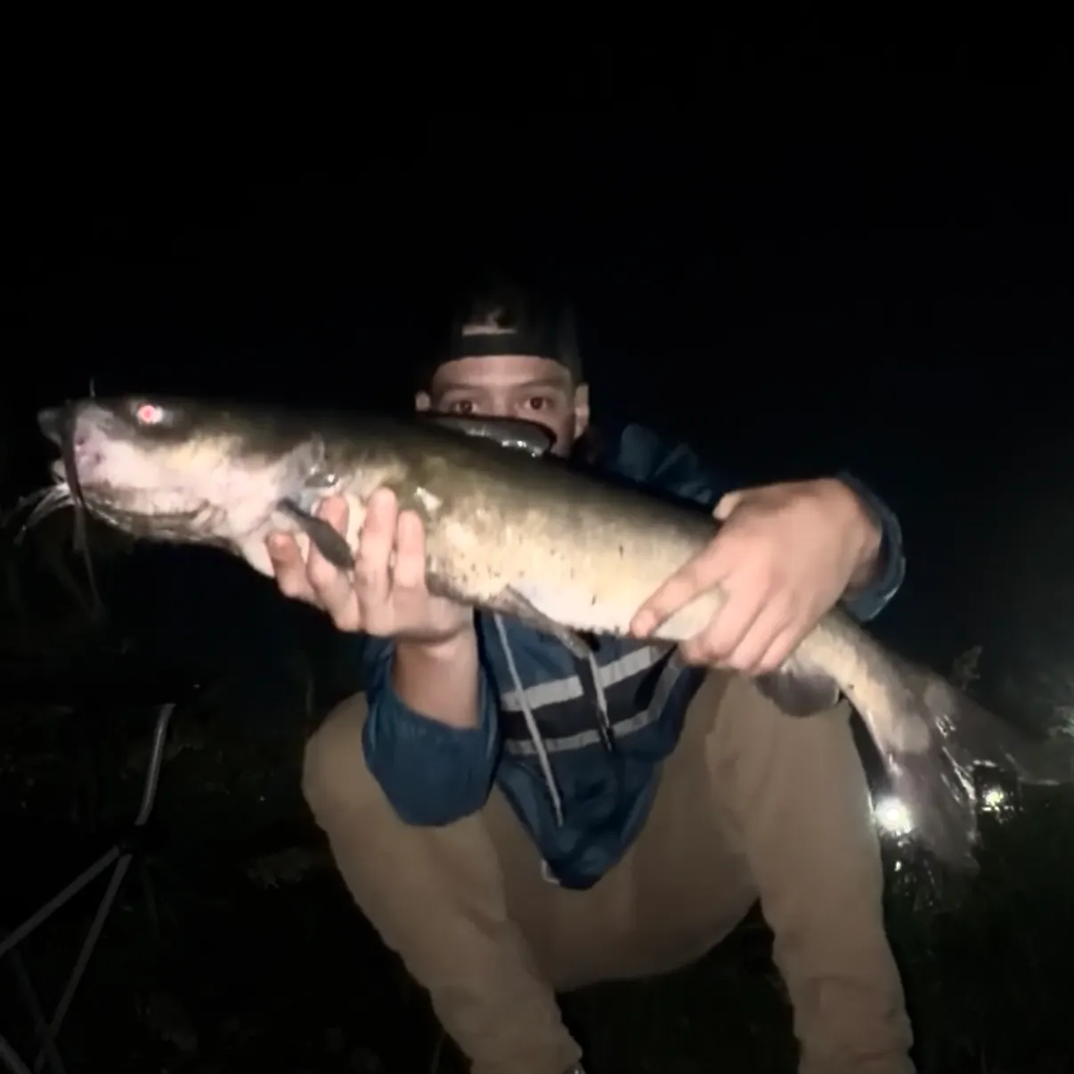 Flathead catfish caught on Fishbrain