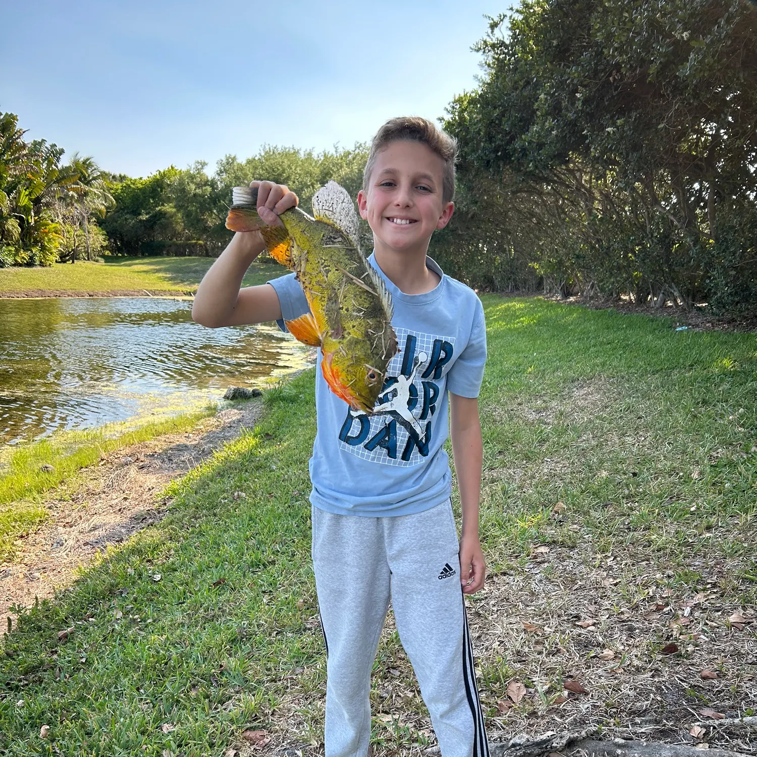 The most recent Butterfly peacock bass catches on Fishbrain