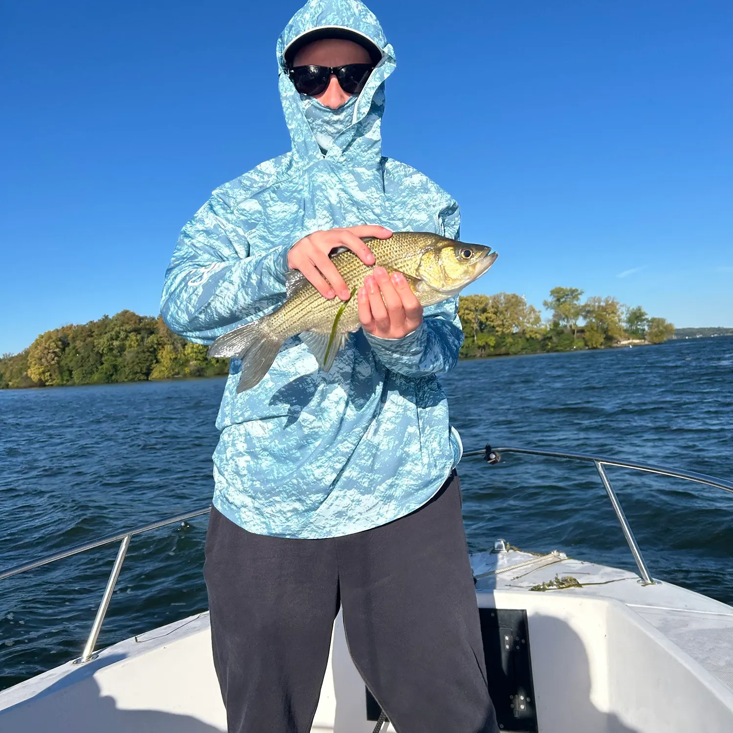 White bass caught on Fishbrain