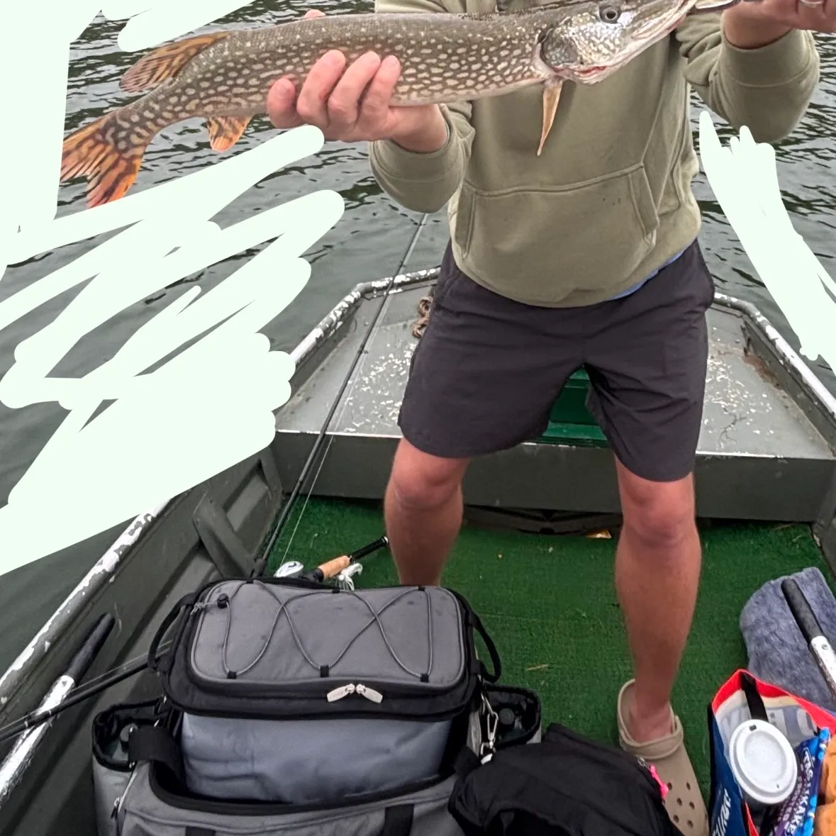 Northern pike caught on Fishbrain