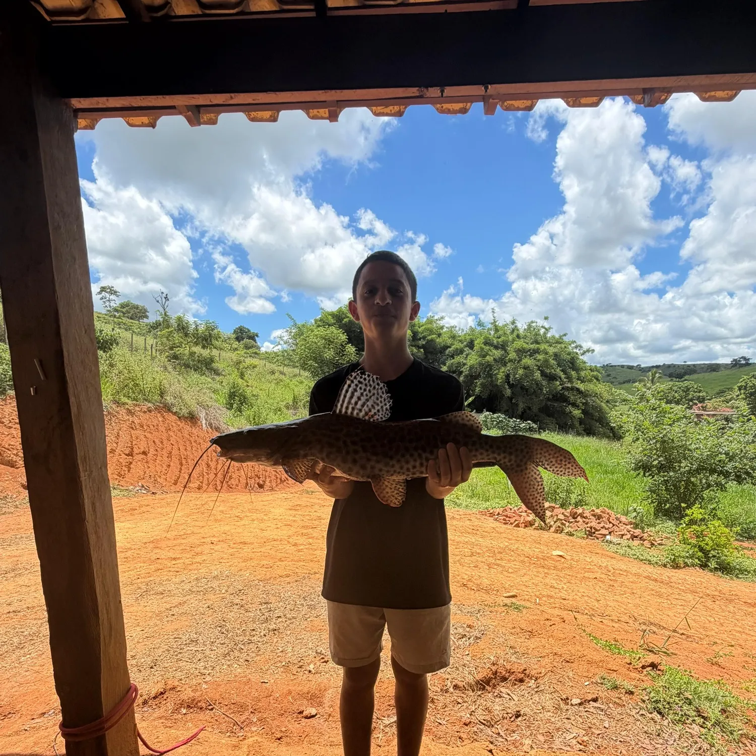 The most recent Channel catfish catches on Fishbrain