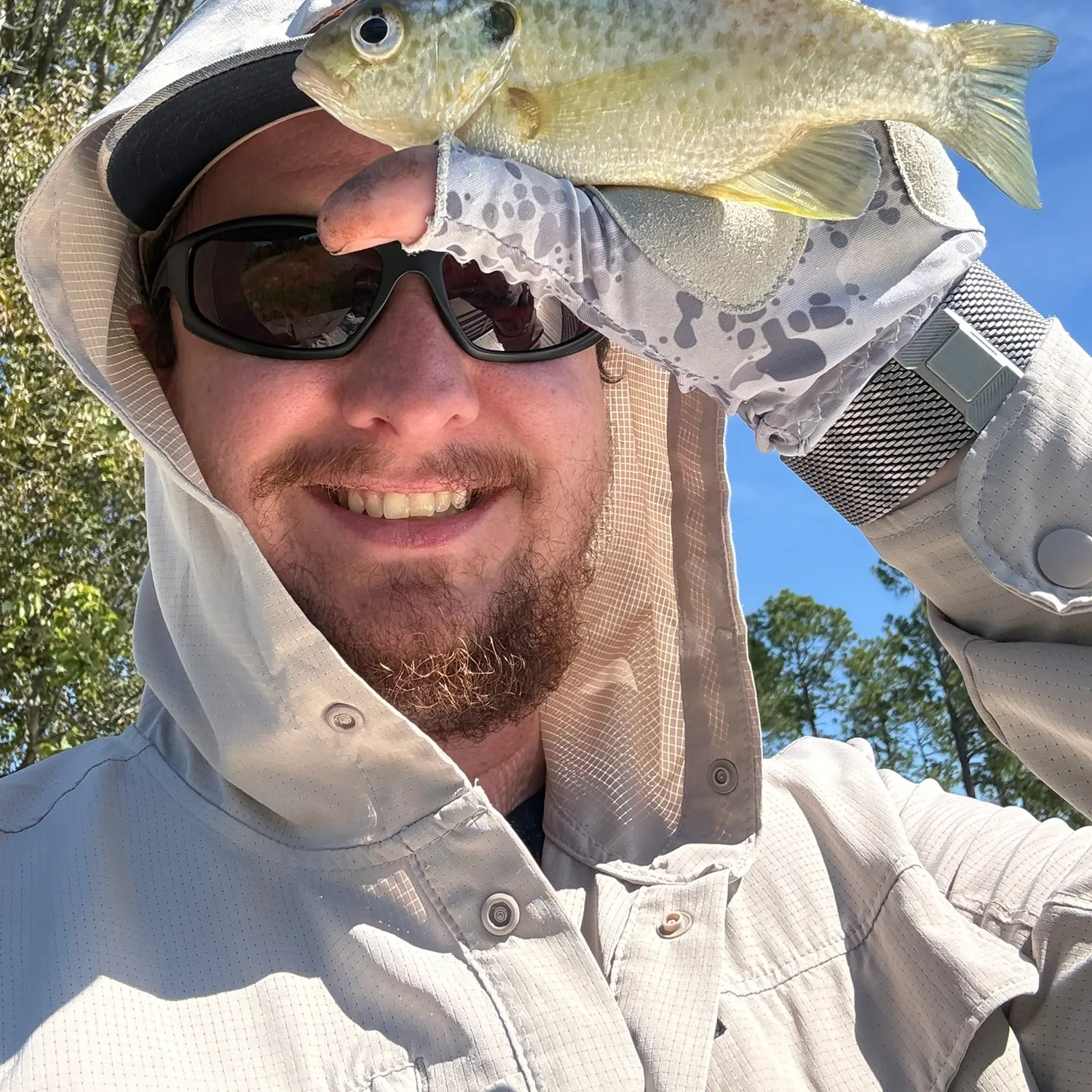 Greengill hybrid caught on Fishbrain