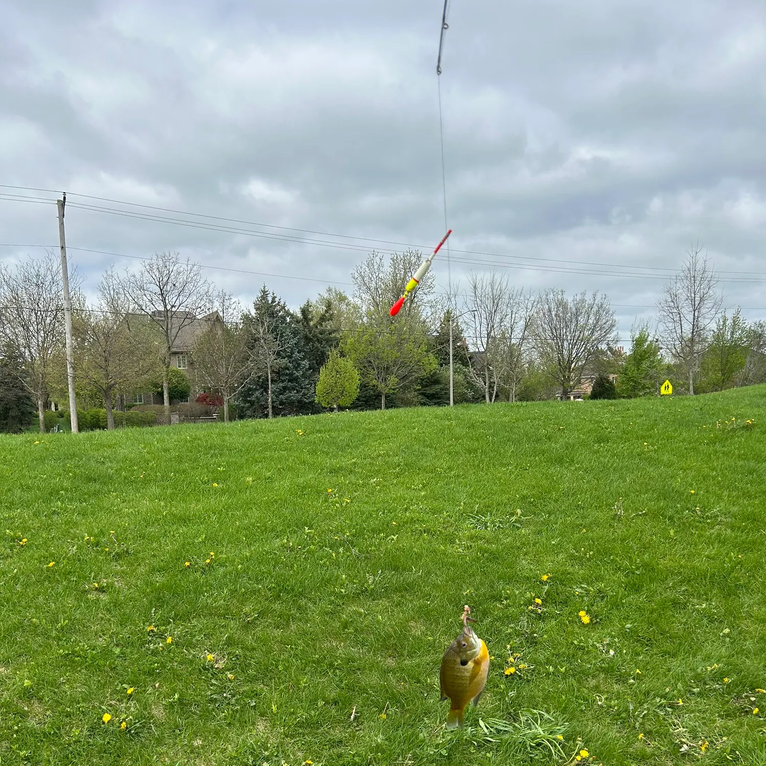 catch