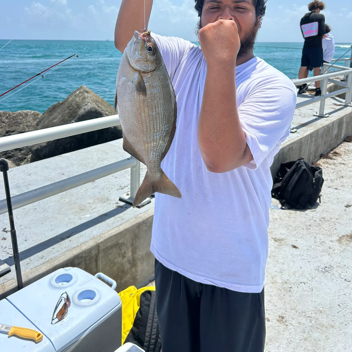 The most recent Bermuda sea chub catches on Fishbrain