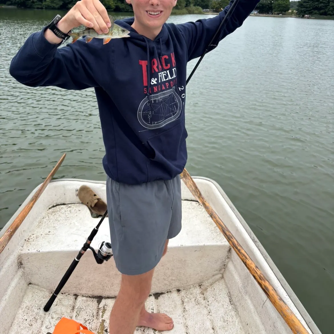 European perch caught on Fishbrain