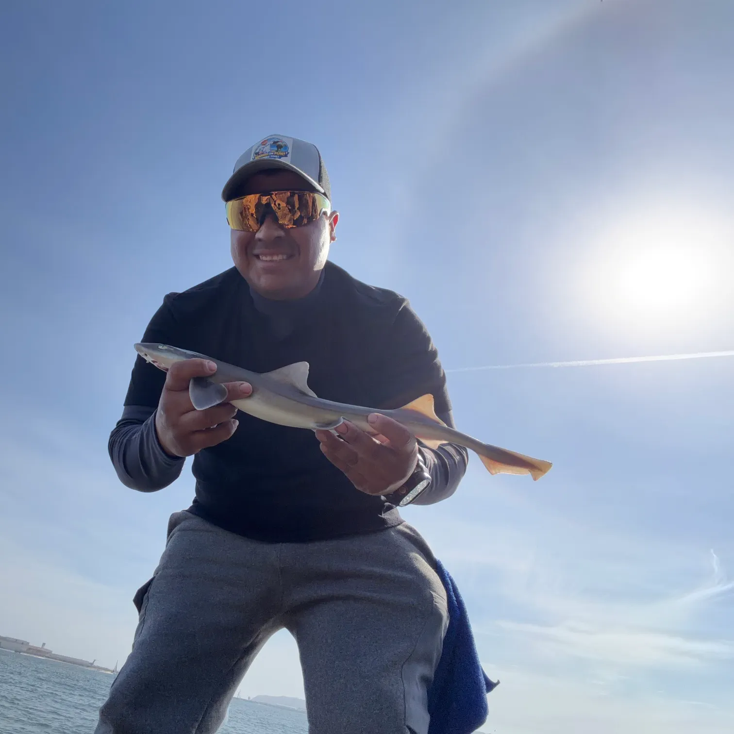 The most recent Grey smooth-hound catches on Fishbrain